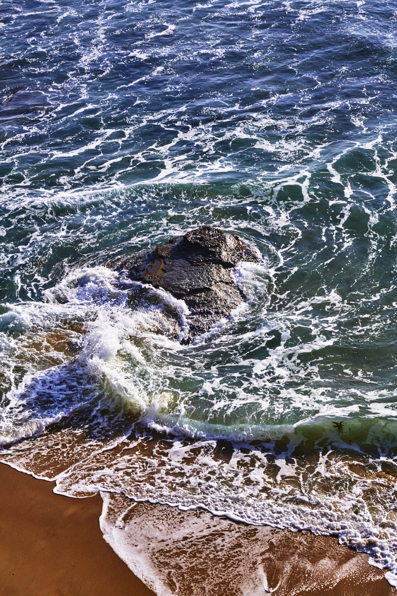 SunsetCliffs__MG_0095.jpg