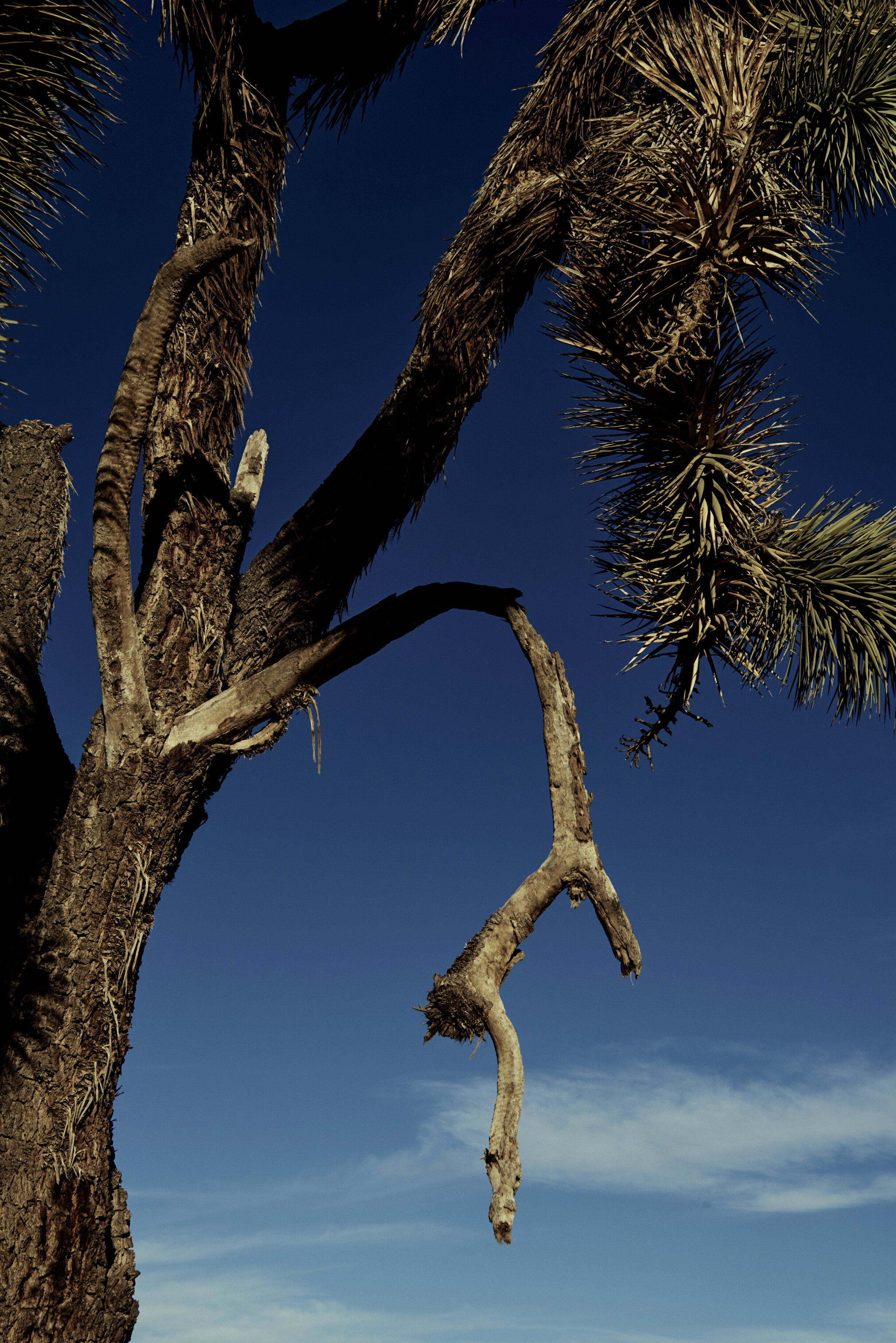 Reportage_057.jpg
