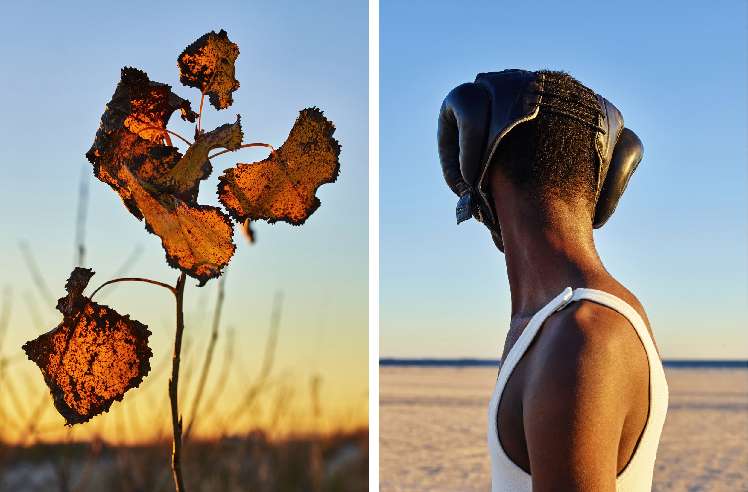 Muse Magazine | Scattered Sand