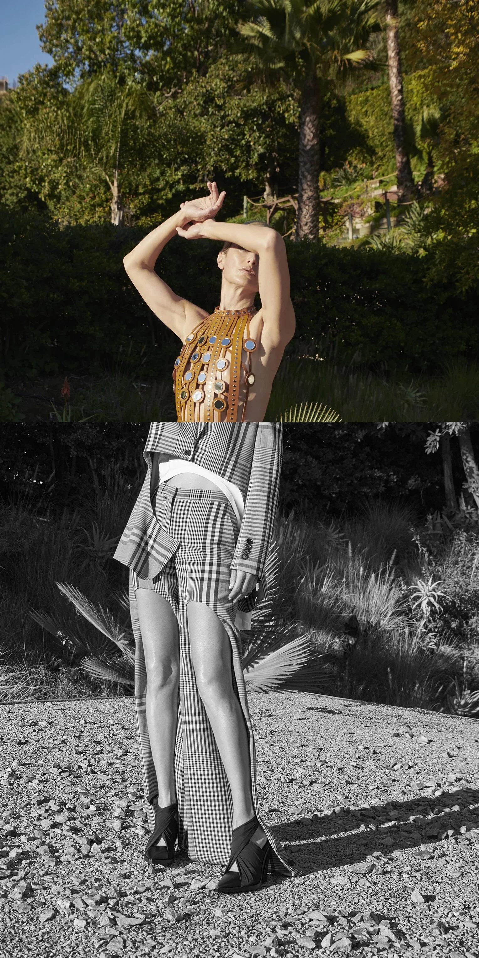 crop 4