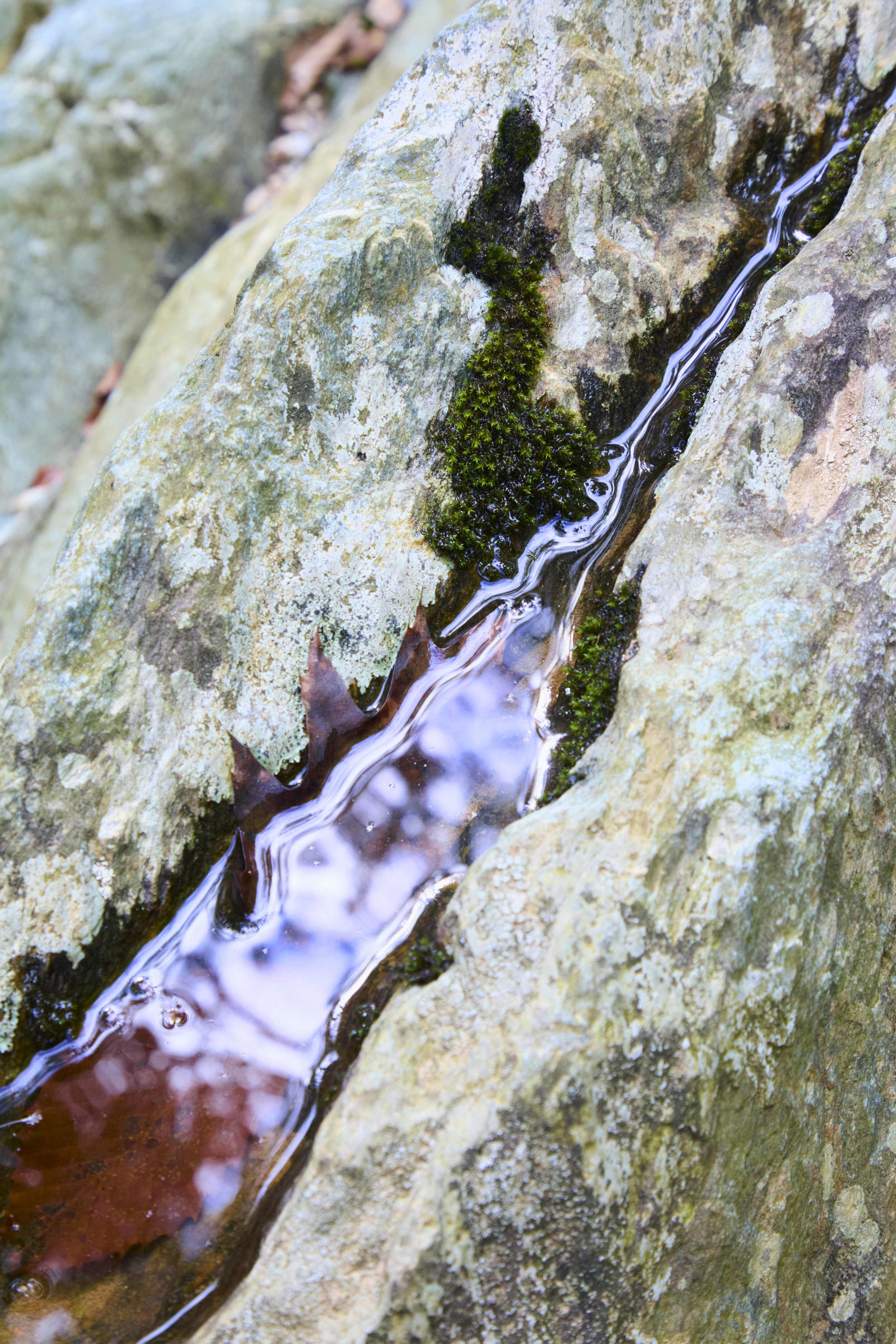 Water rocks NativeHut_triptych border v4 F 2 copy.jpg