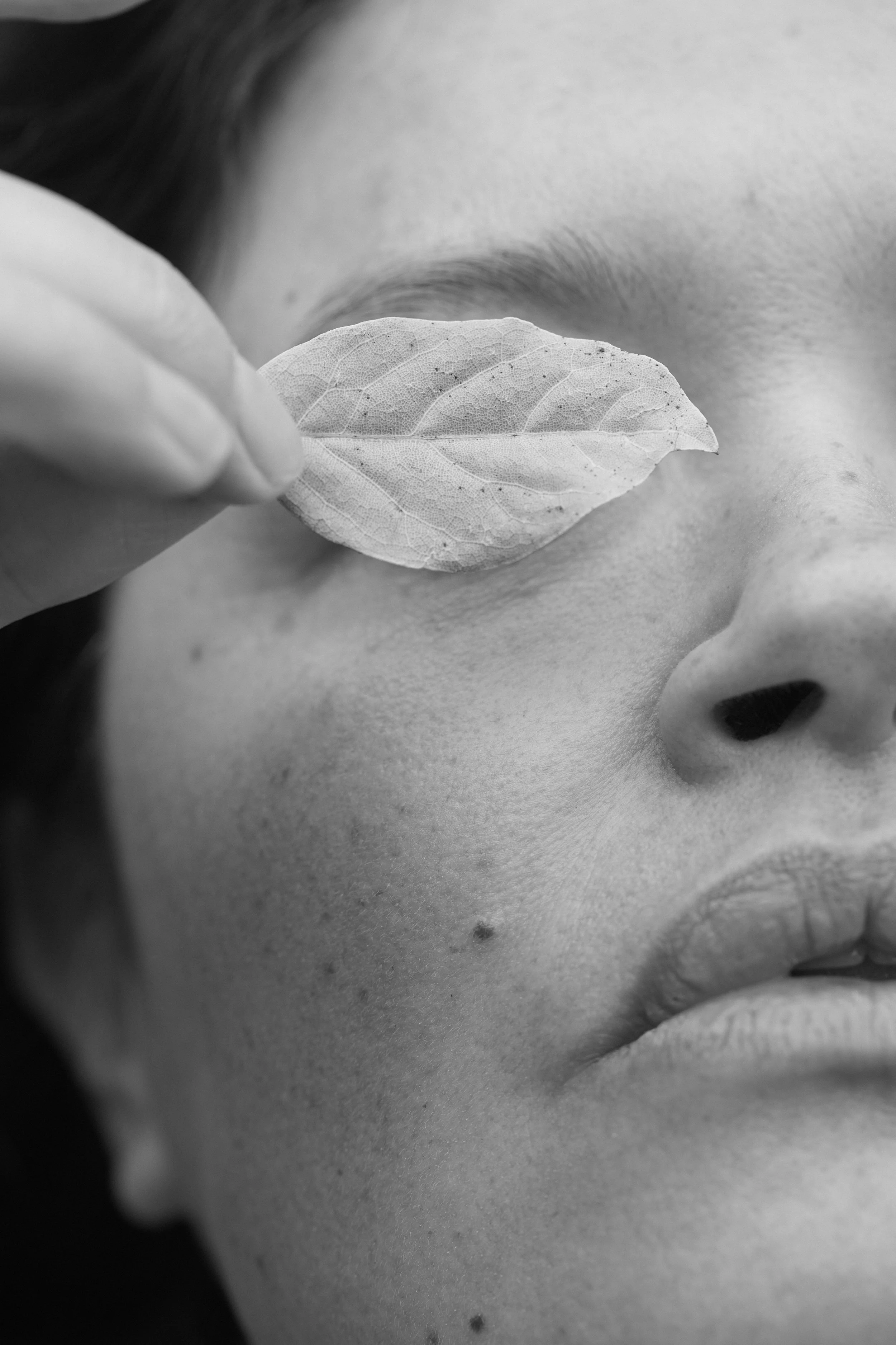 B00A9566 1 R 3 copy.jpg