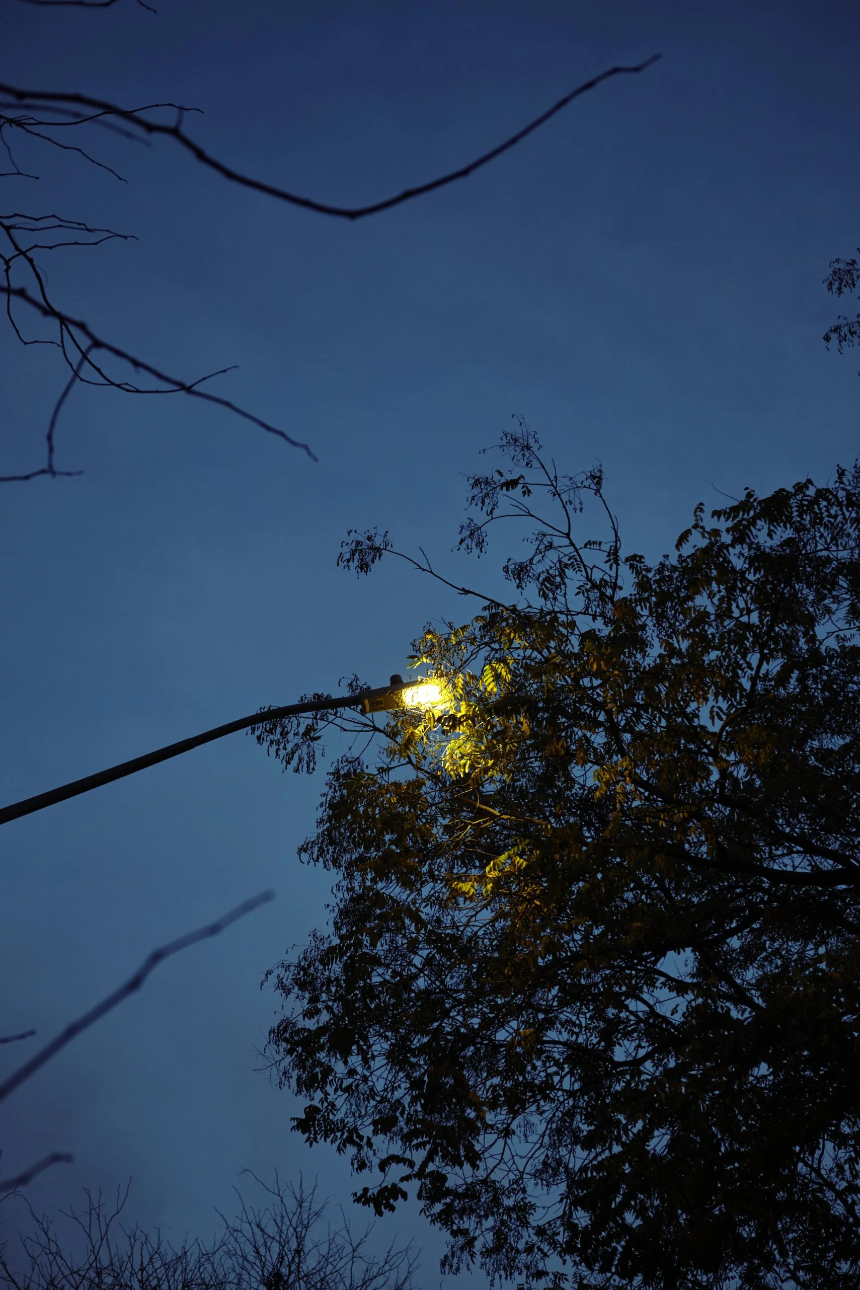 _MG_9940 2 1 crop 1.jpg