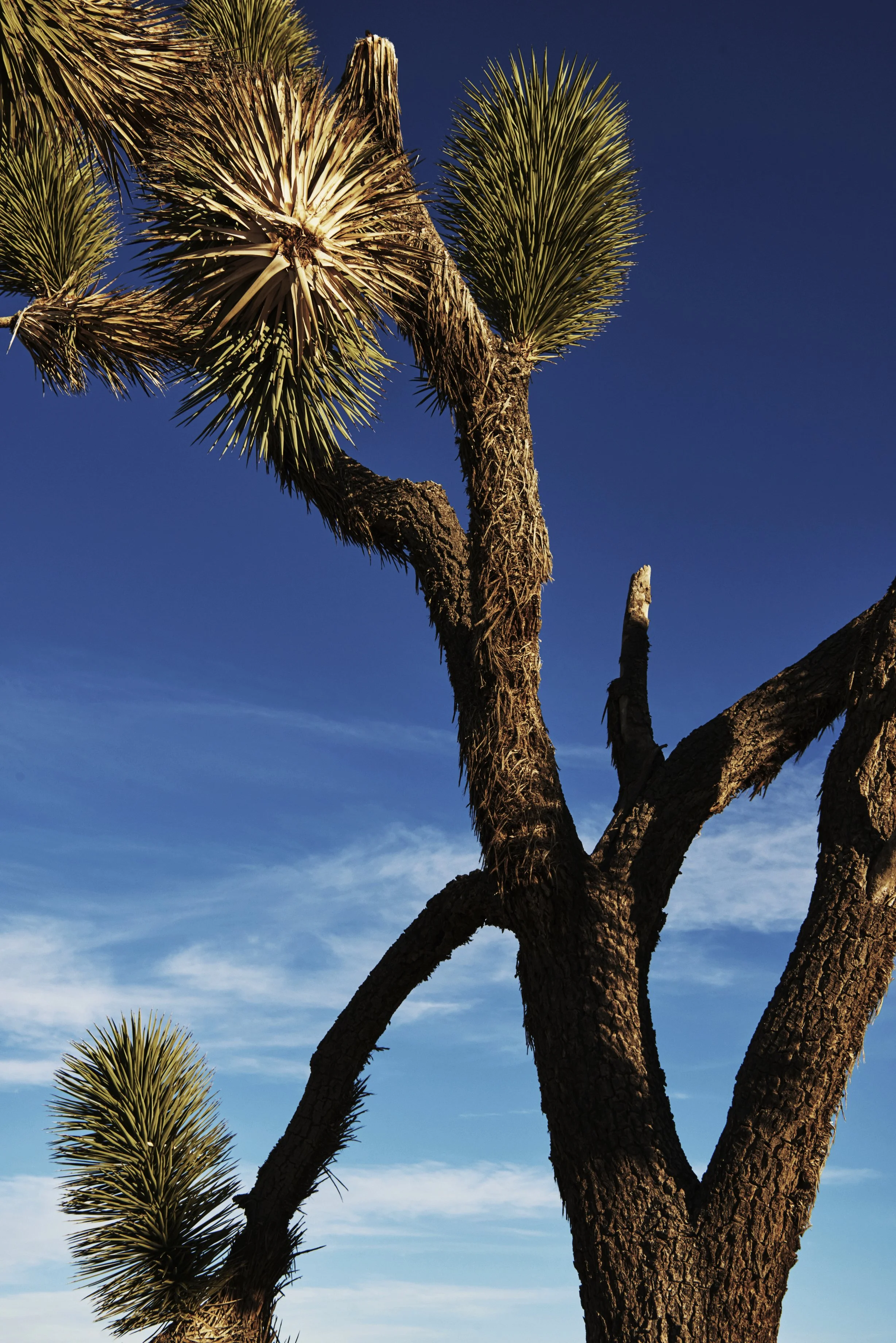 Reportage_051 copy v2 copy.jpg