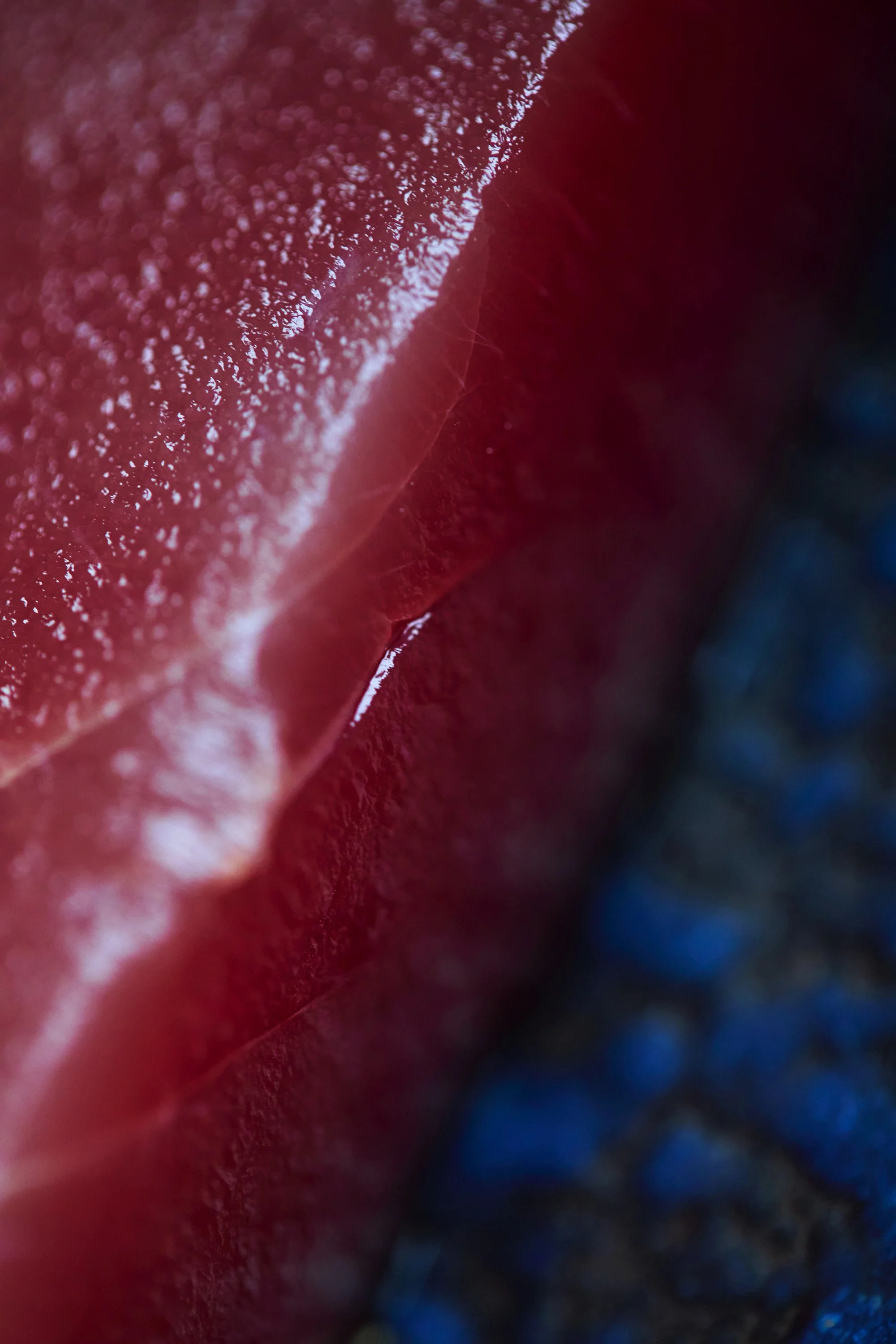 B00A9281 2_s sat copy.jpg