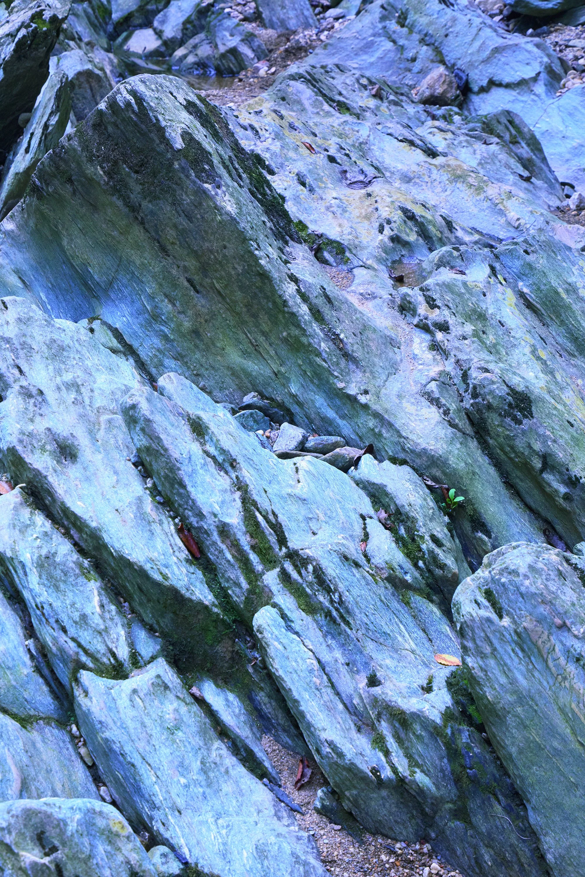 5G0A0978 v greener sharp s.jpg