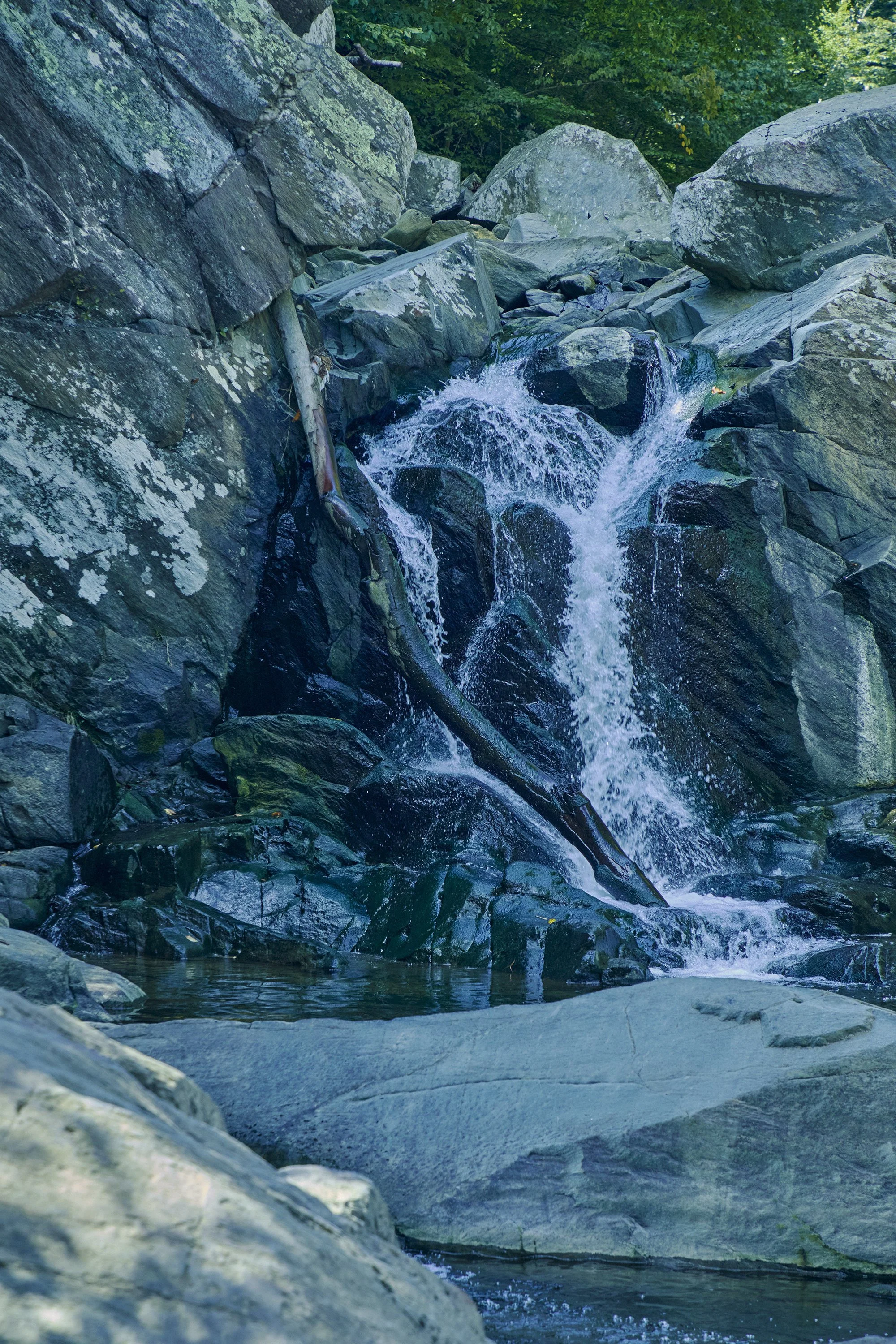 5G0A1191 desaturated L s.jpg