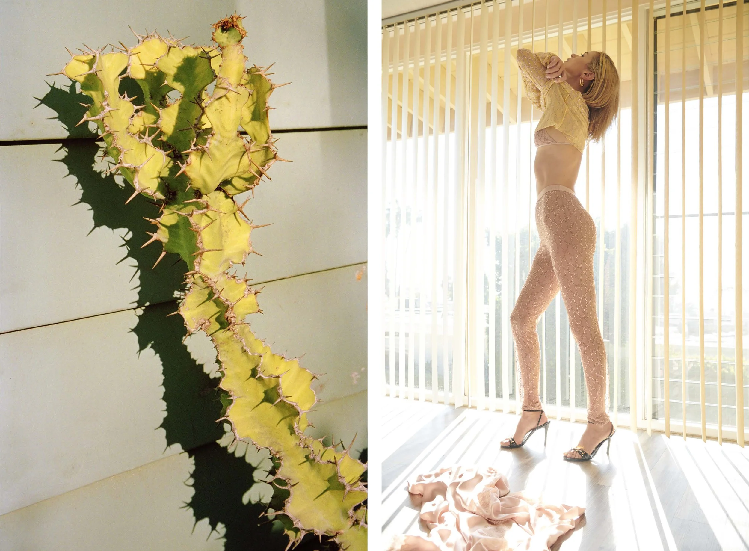 Carolyn Cactus.jpg