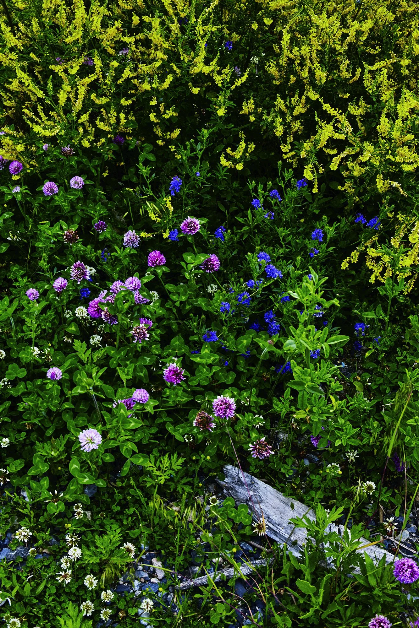Rockaway__B_MG_7999_a s 3 copy.jpg