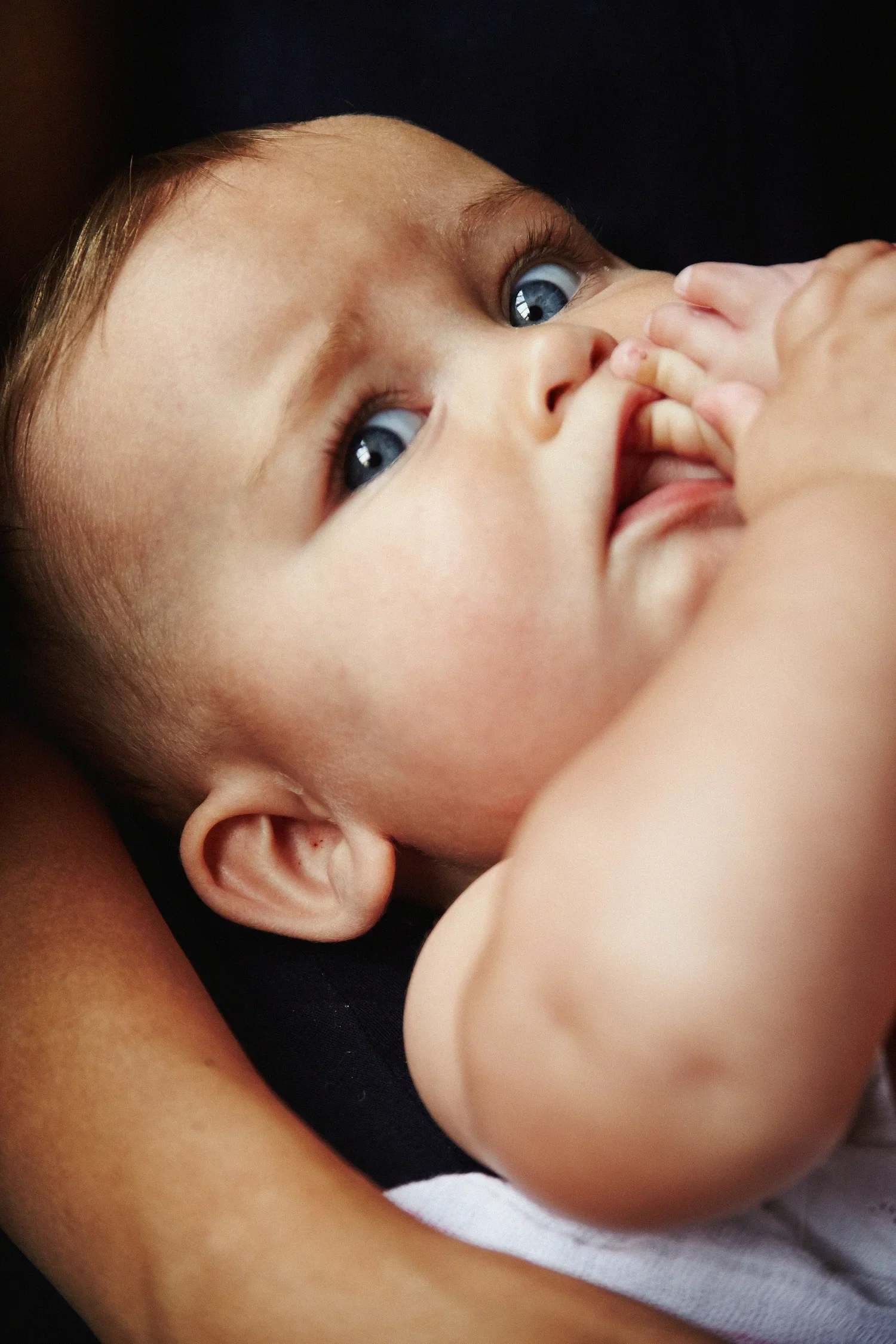 _MG_9082+R.webp