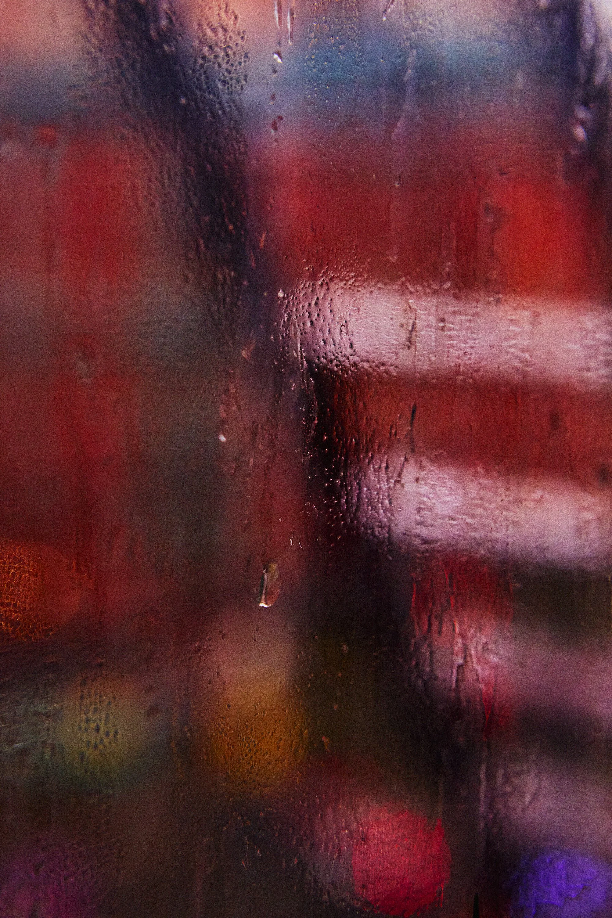 _MG_1657 crop 2 s.jpg