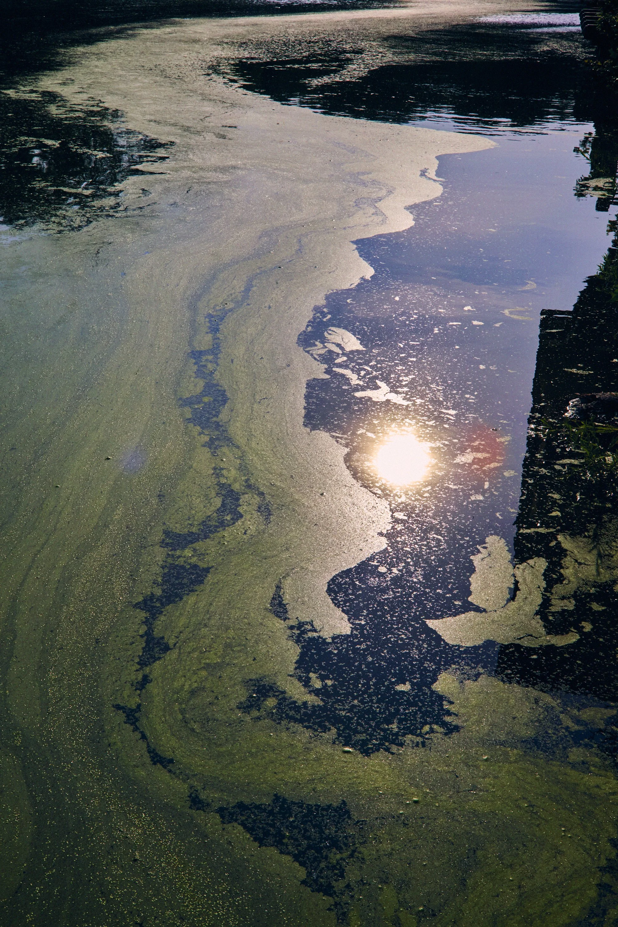 _MG_2011 s.jpg