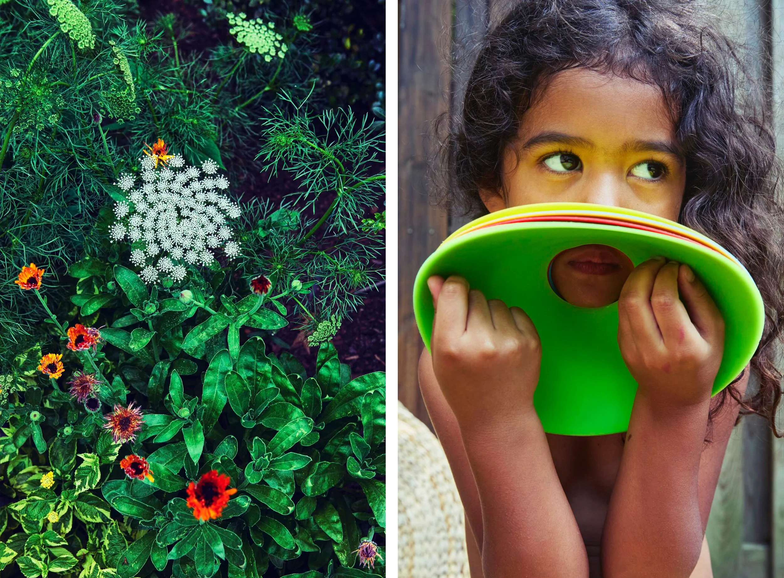 TKAAB_Greenery+HinaGreenCircle copy.jpg