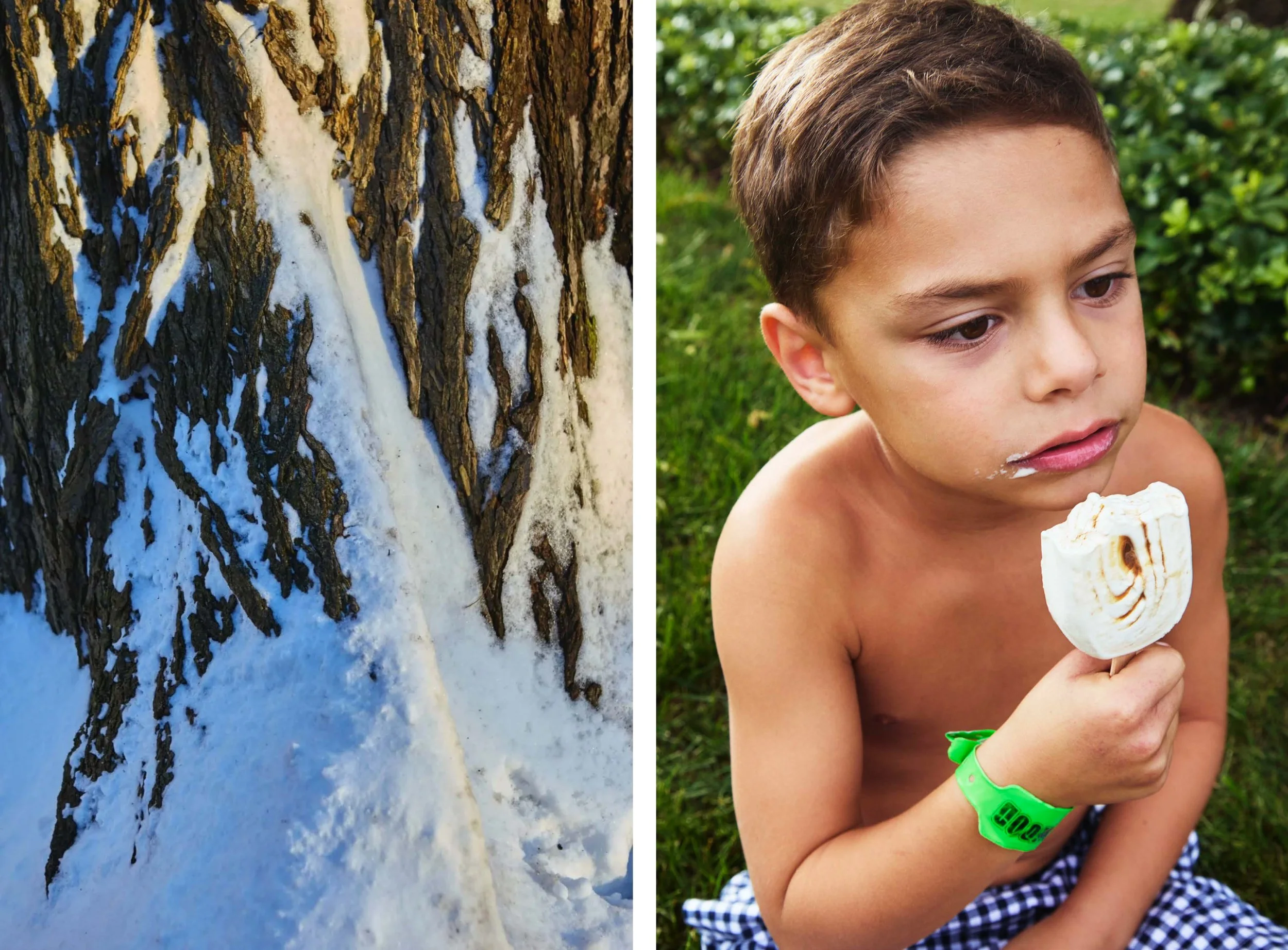 TKAAB_SnowyBark+DylanYasso copy.jpg