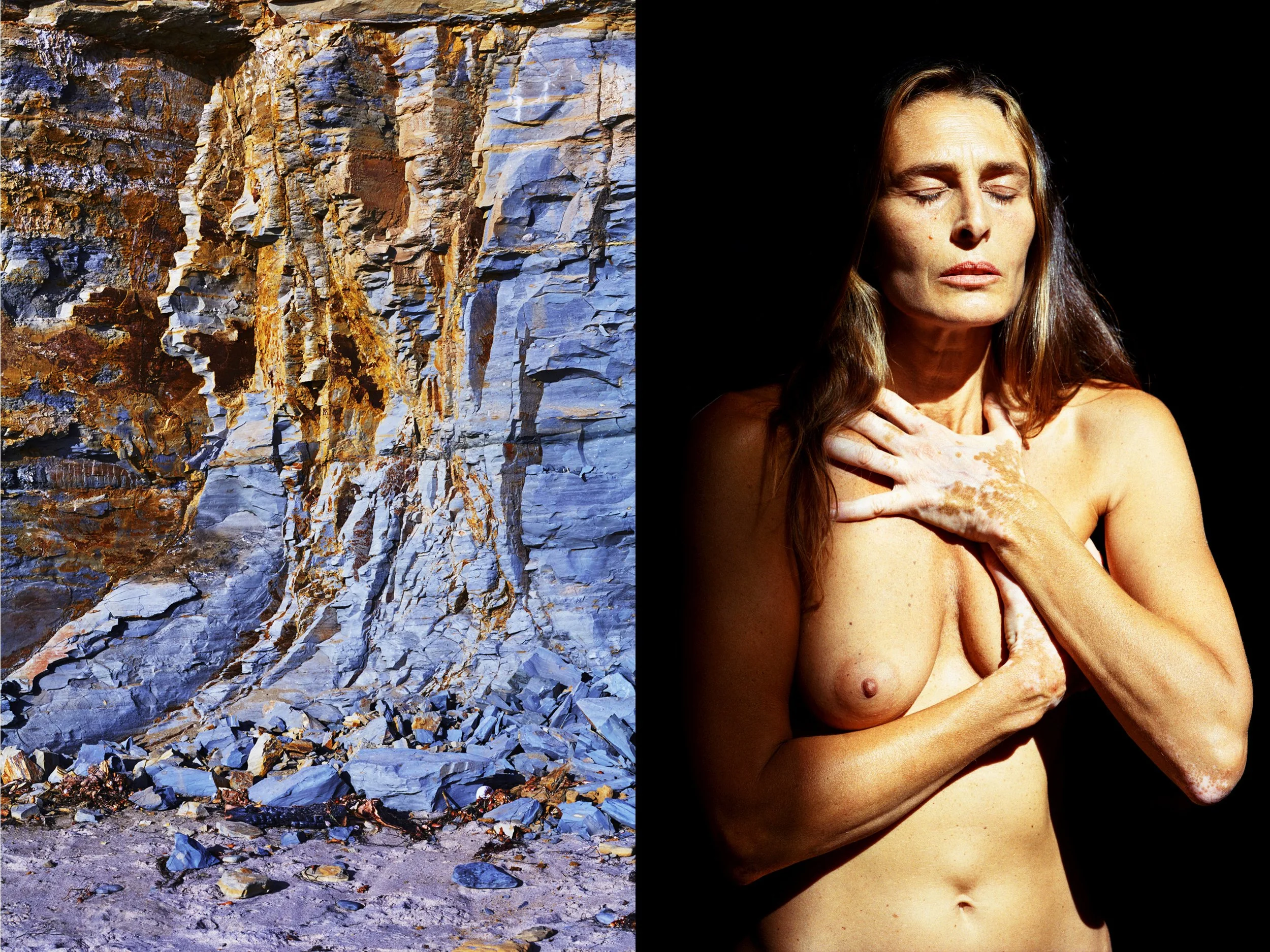 Elena+color+s (3) diptych 3 copy.jpg