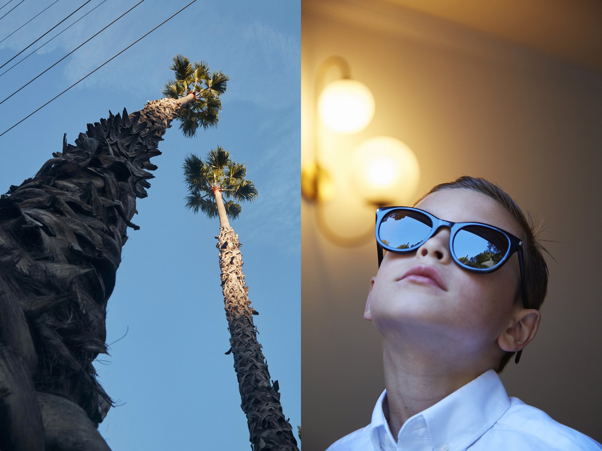 TKAAB_PalmTrees+Freddie panel copy.jpg