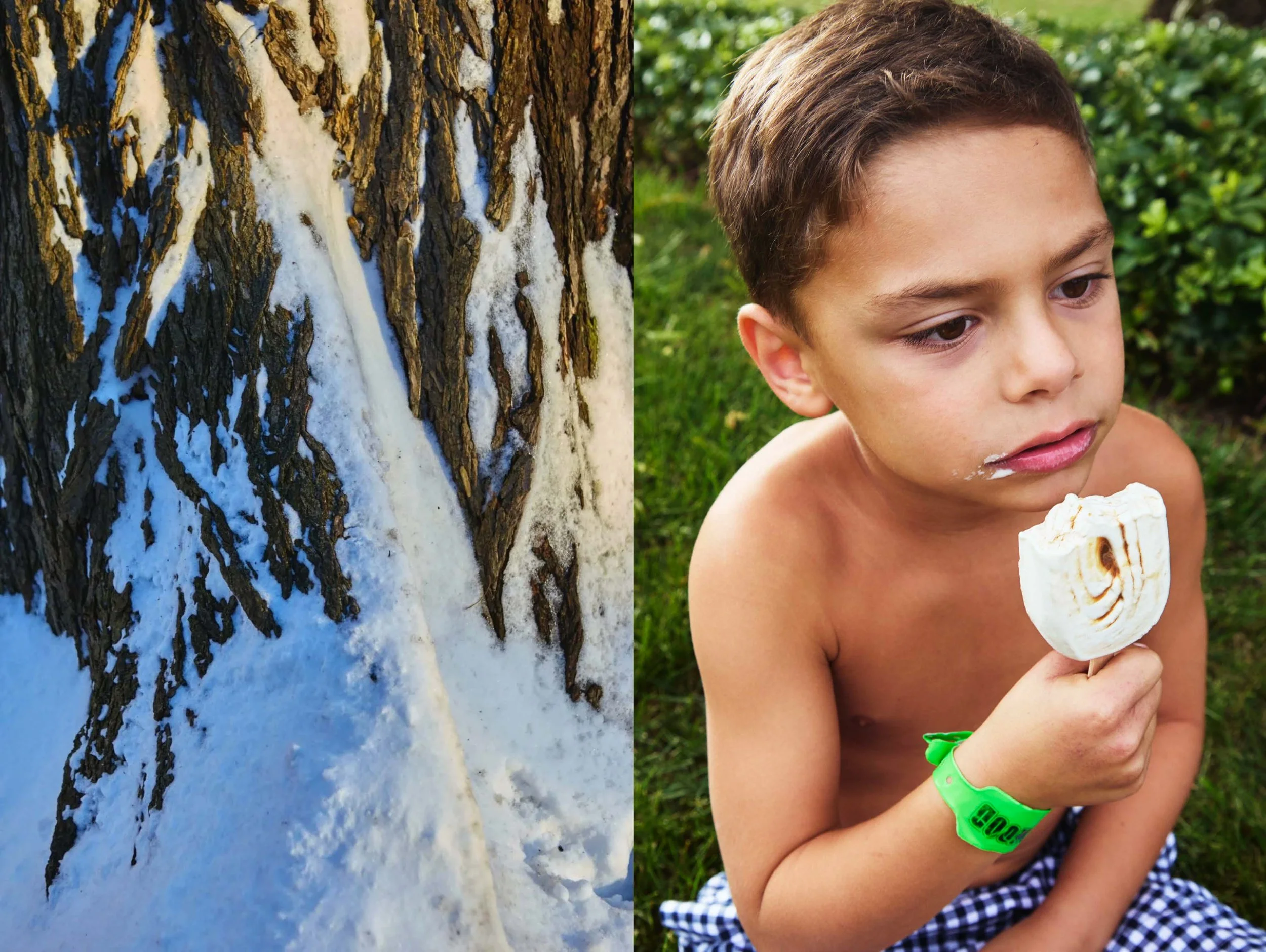 TKAAB_SnowyBark+DylanYasso copy panel.jpg