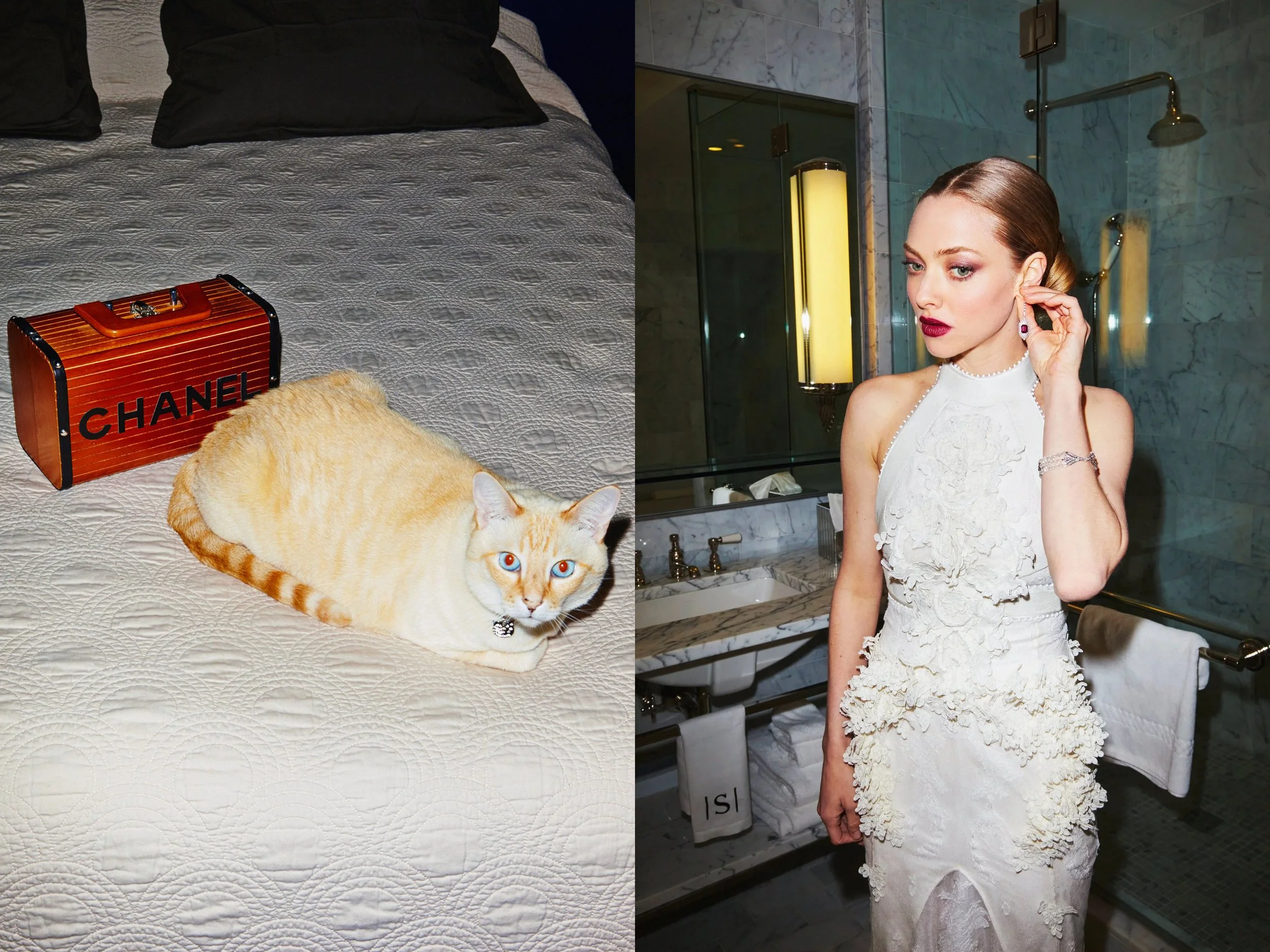 Seyfried_Vogue_AS0367+2+print+v4+retouch+curves+2+crop+flat+s_ChanelCat copy.jpg