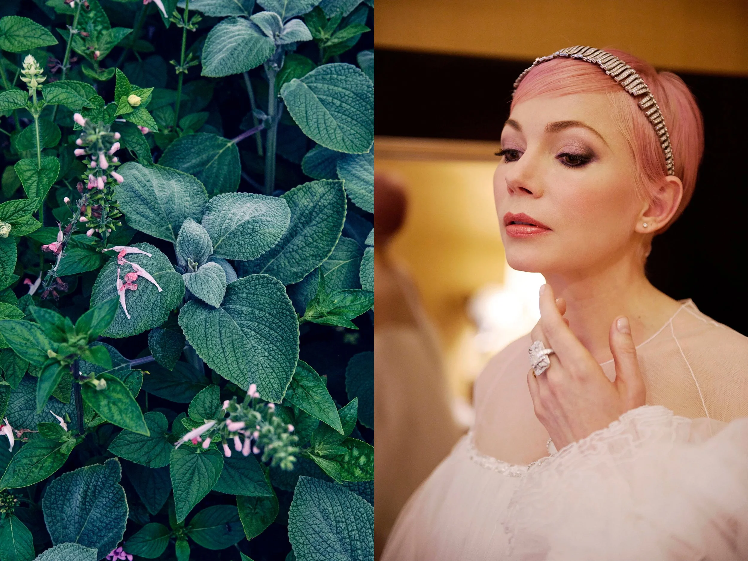 DIPTYCHS_MichelleW+PinkPetalsFrostedGreenery.jpg
