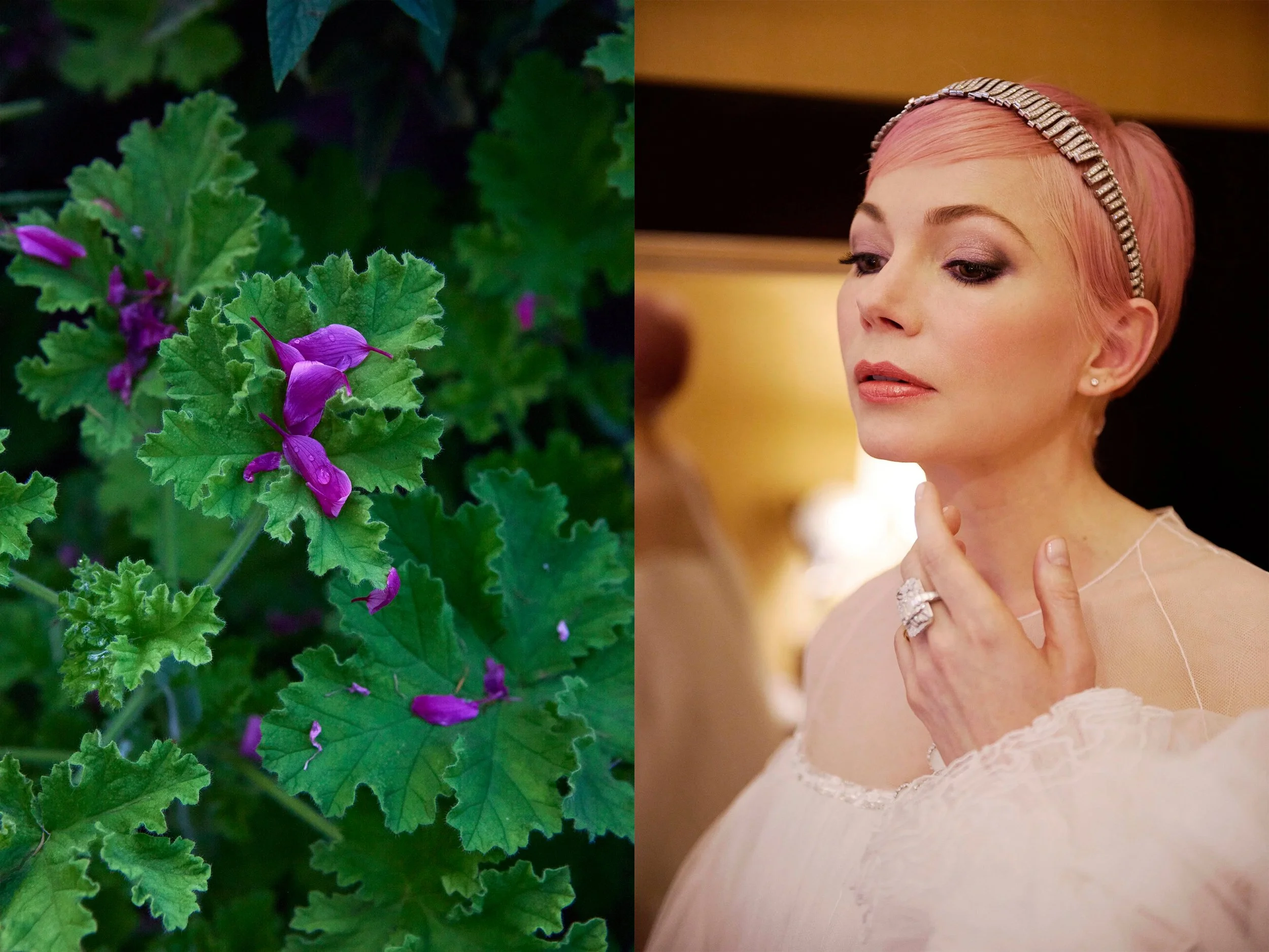DIPTYCHS_MichelleW+PurplePetalsOnGreenery.jpg