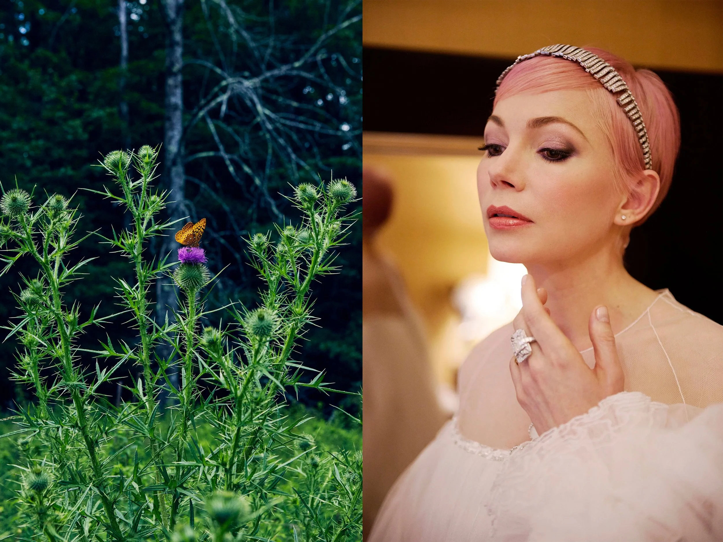 DIPTYCHS_MichelleW+PurpleFlowerButterfly.jpg
