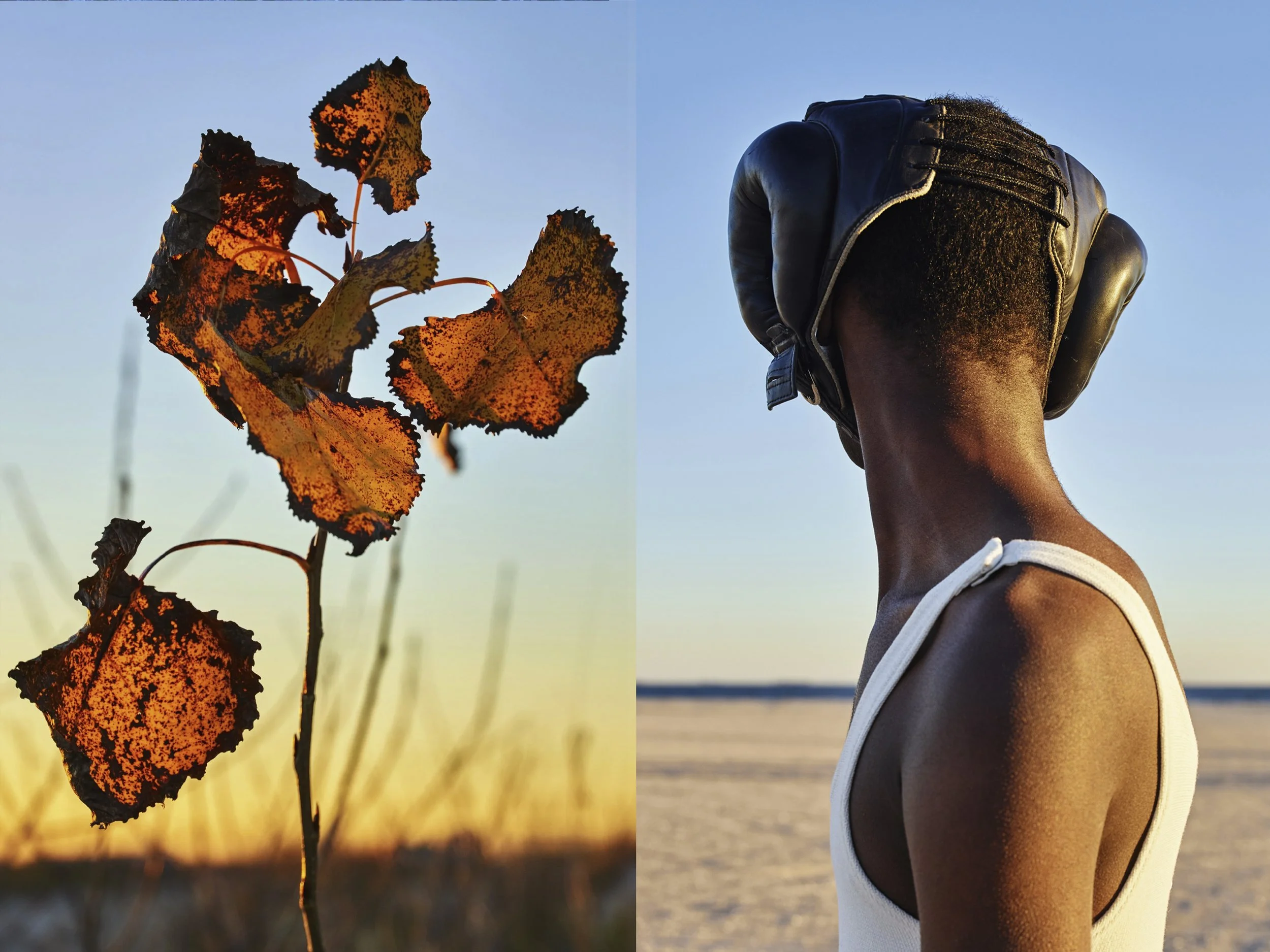MuseLeaf+SportingGear copy.jpg