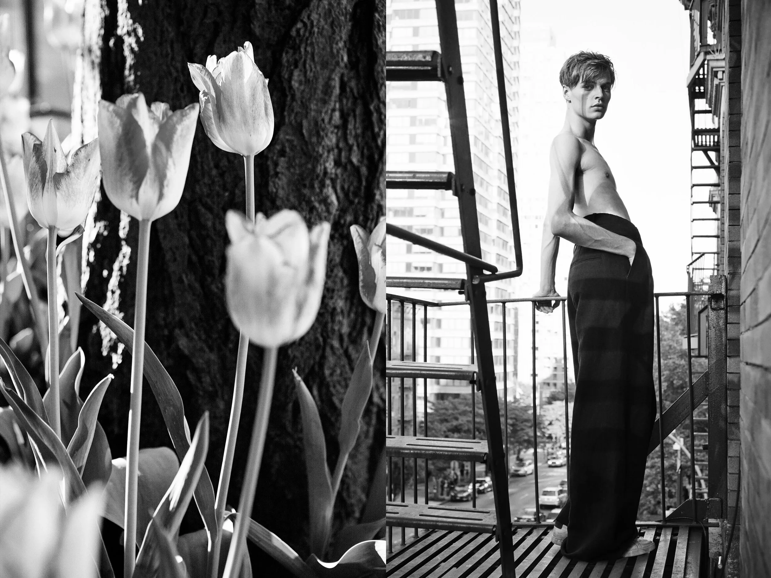 JH BW FireEscap+BWFlowers copy.jpg