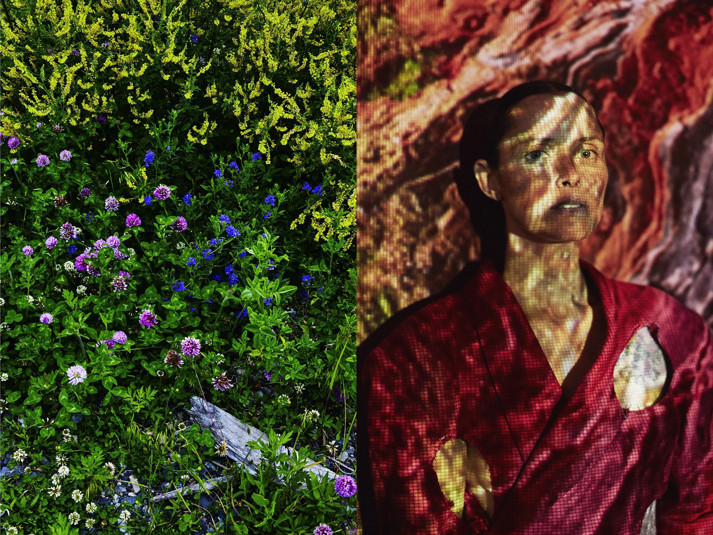 20170906_Allure_Science_Shot9_0001+printsRGB+newer+Mar17,2026+PINKER+s+Wildflowers+bark copy.jpg