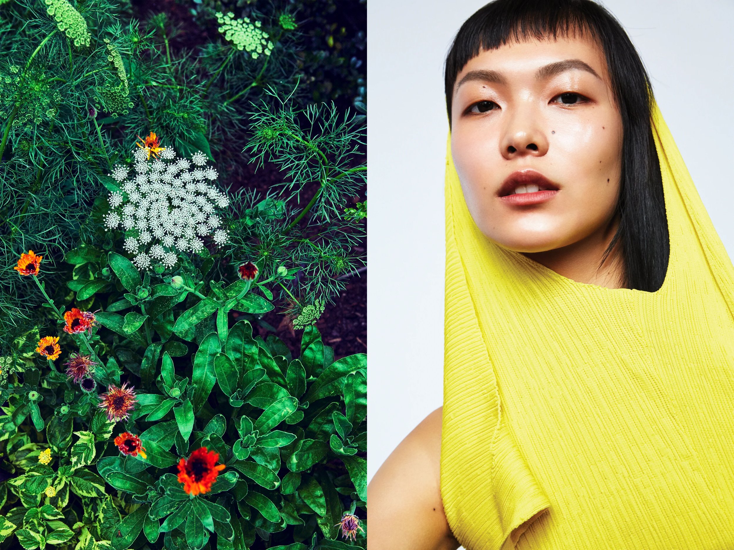 B_20170728_AllureMag_Shot5_0130+1_b+print+2+s+EnchantedBotany copy.jpg