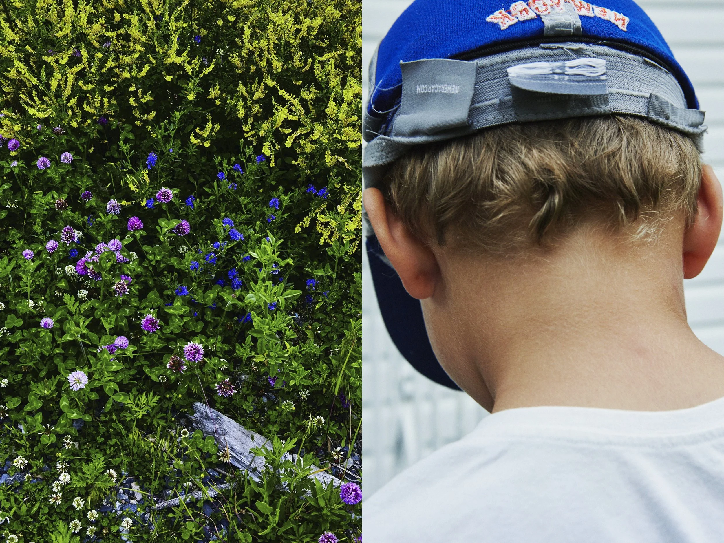 _MG_8858+v7+s light+diptychs+Wildflowers.jpg