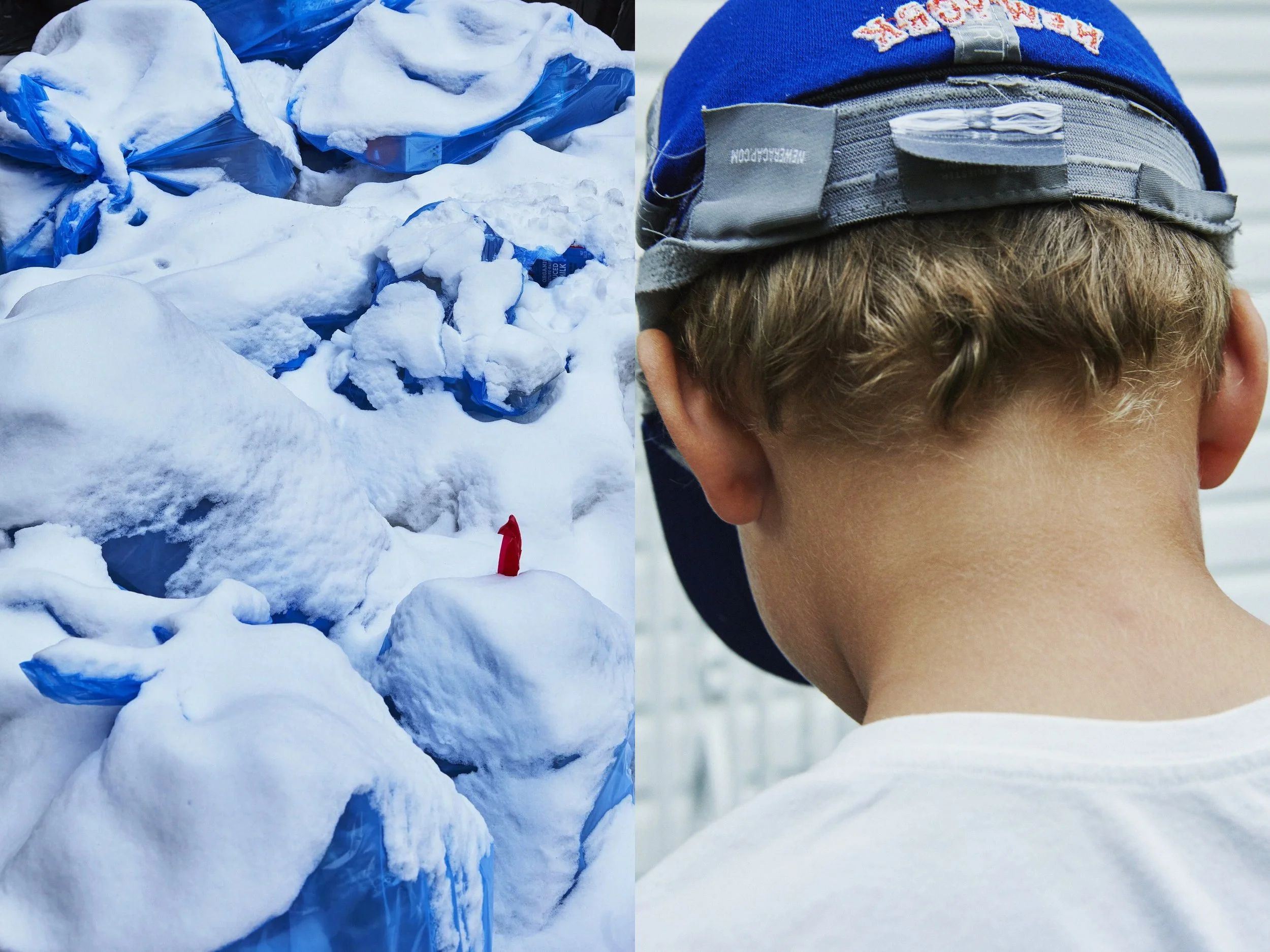 _MG_8858+v7+s light+diptychs+BlueSnowscape.jpg