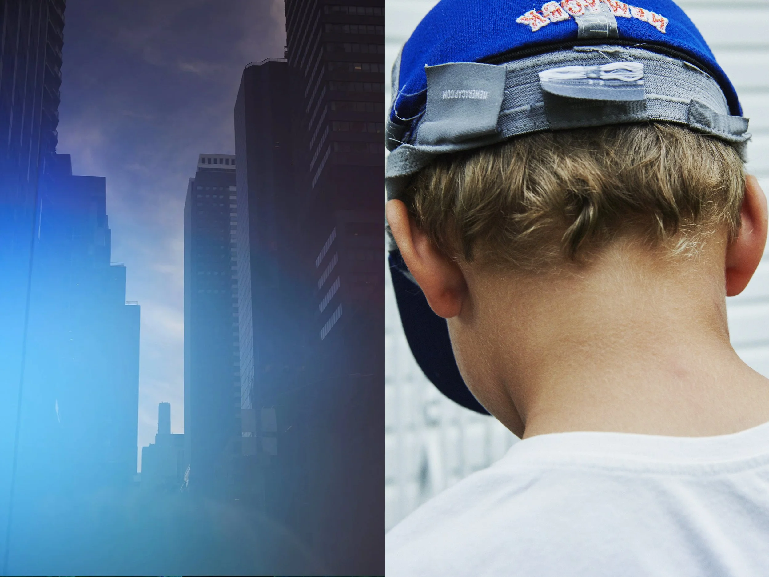 _MG_8858+v7+s light+diptychs+PurpleBlueSkylineScape.jpg