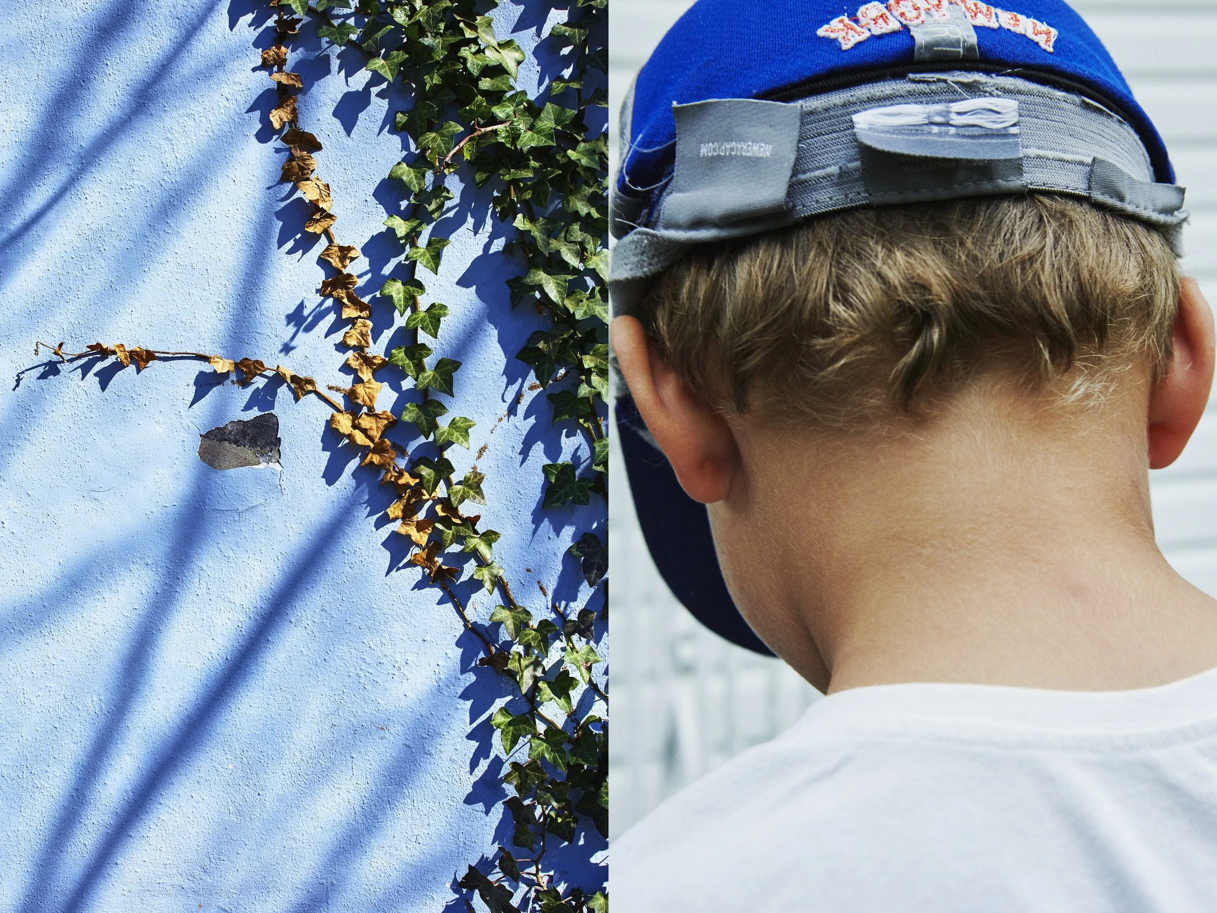 _MG_8858+v7+s light+diptychs+IvyPeriwinkleWall.jpg