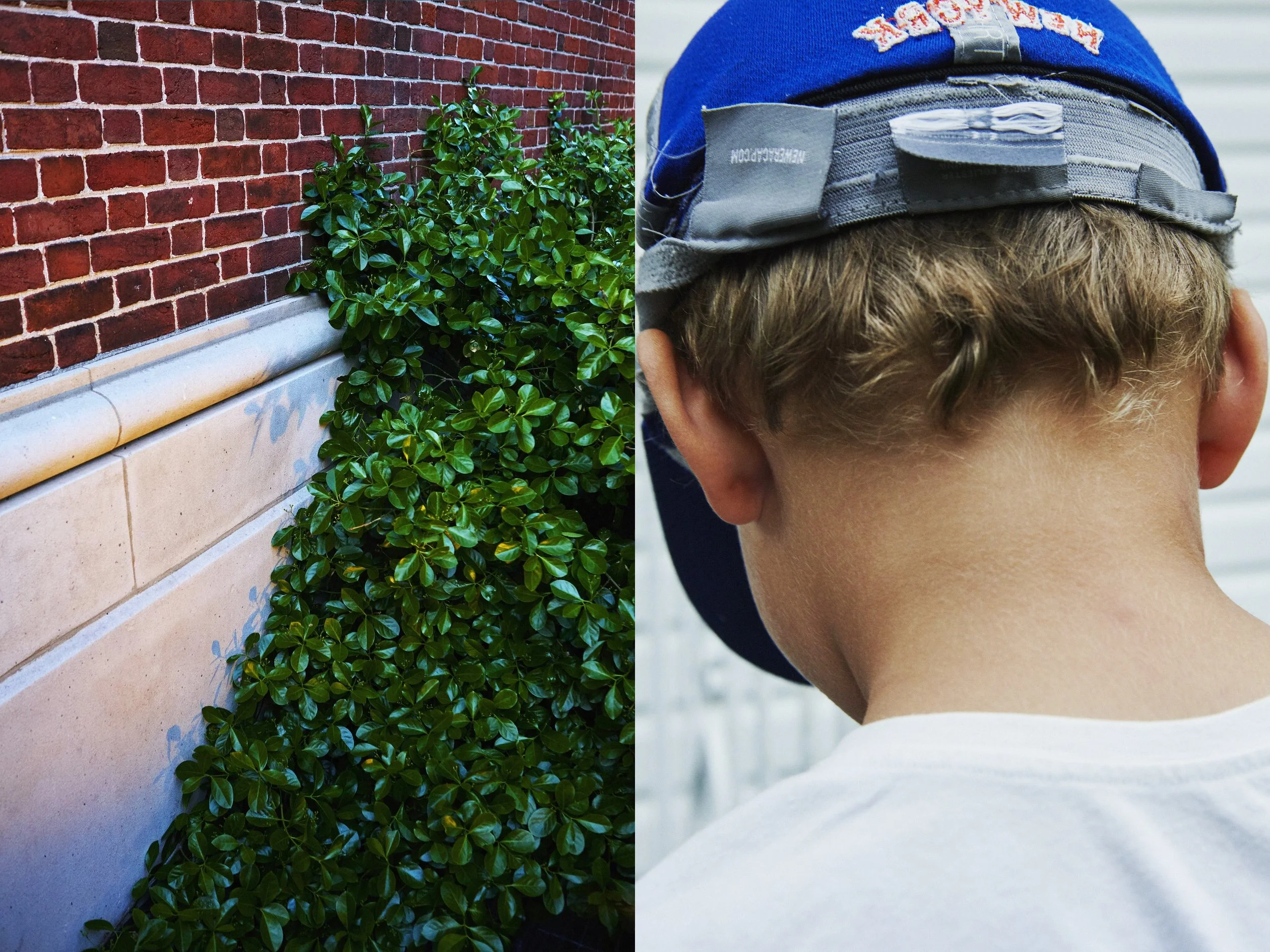 _MG_8858+v7+s light+diptychs+TriadGreenery copy.jpg