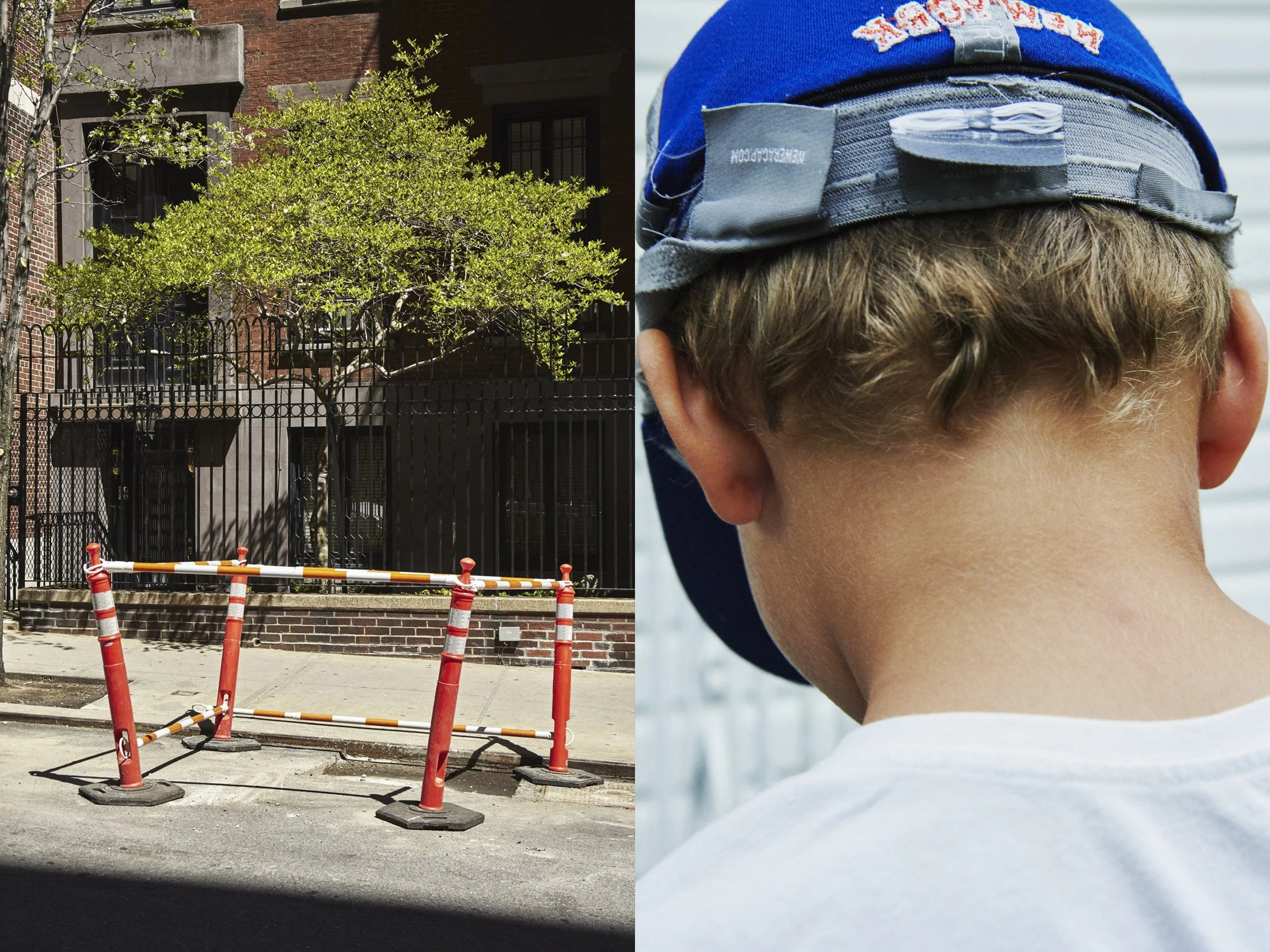 _MG_8858+v7+s light+diptychs+CautionTree.jpg