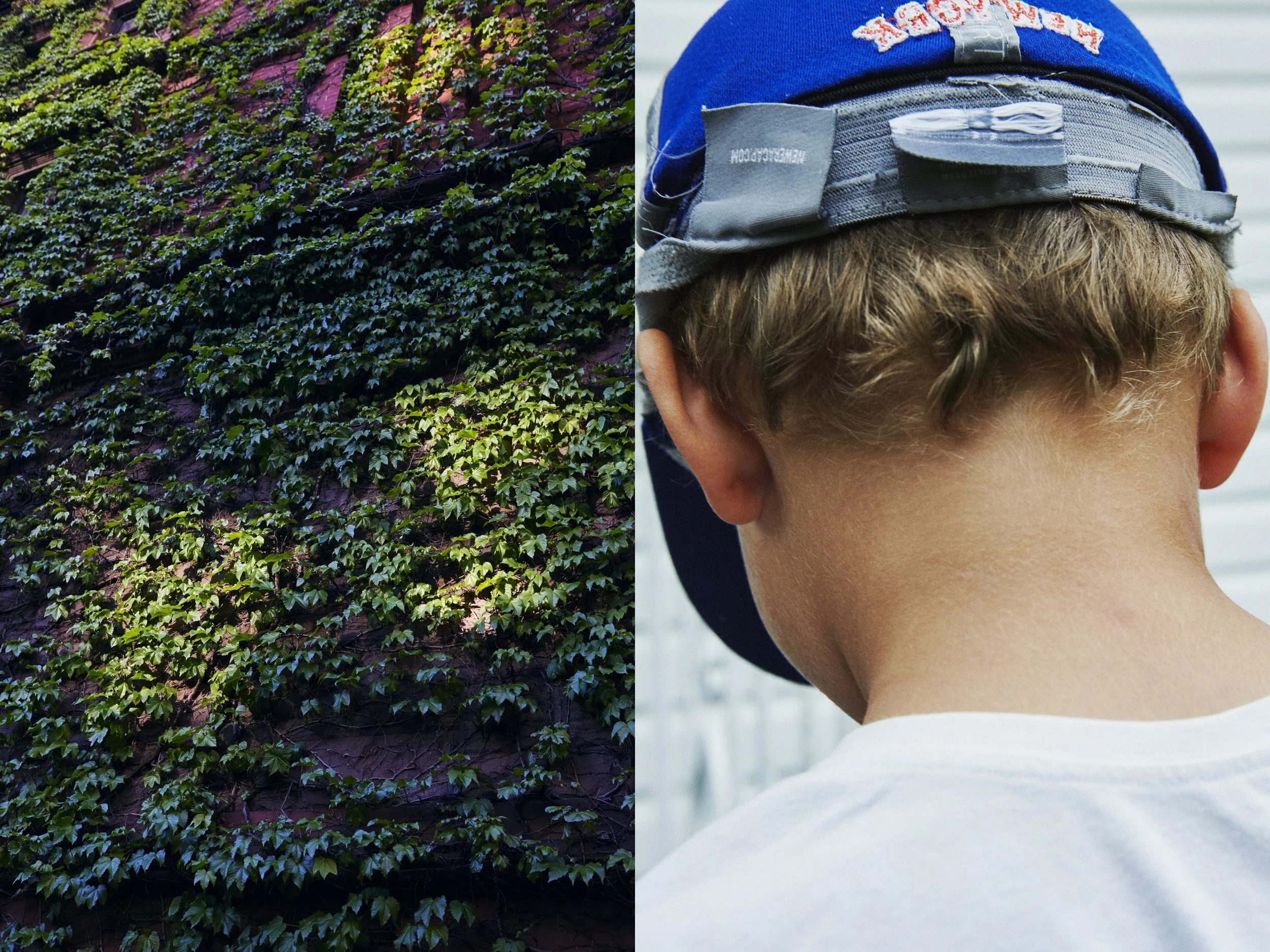 _MG_8858+v7+s light+diptychs+IvyLightPatches.jpg