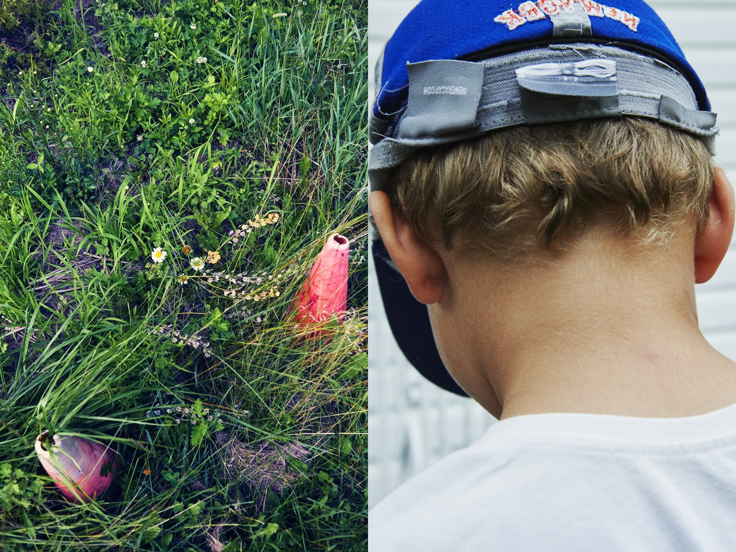 _MG_8858+v7+s light+diptychs+LansmansConesGrass.jpg