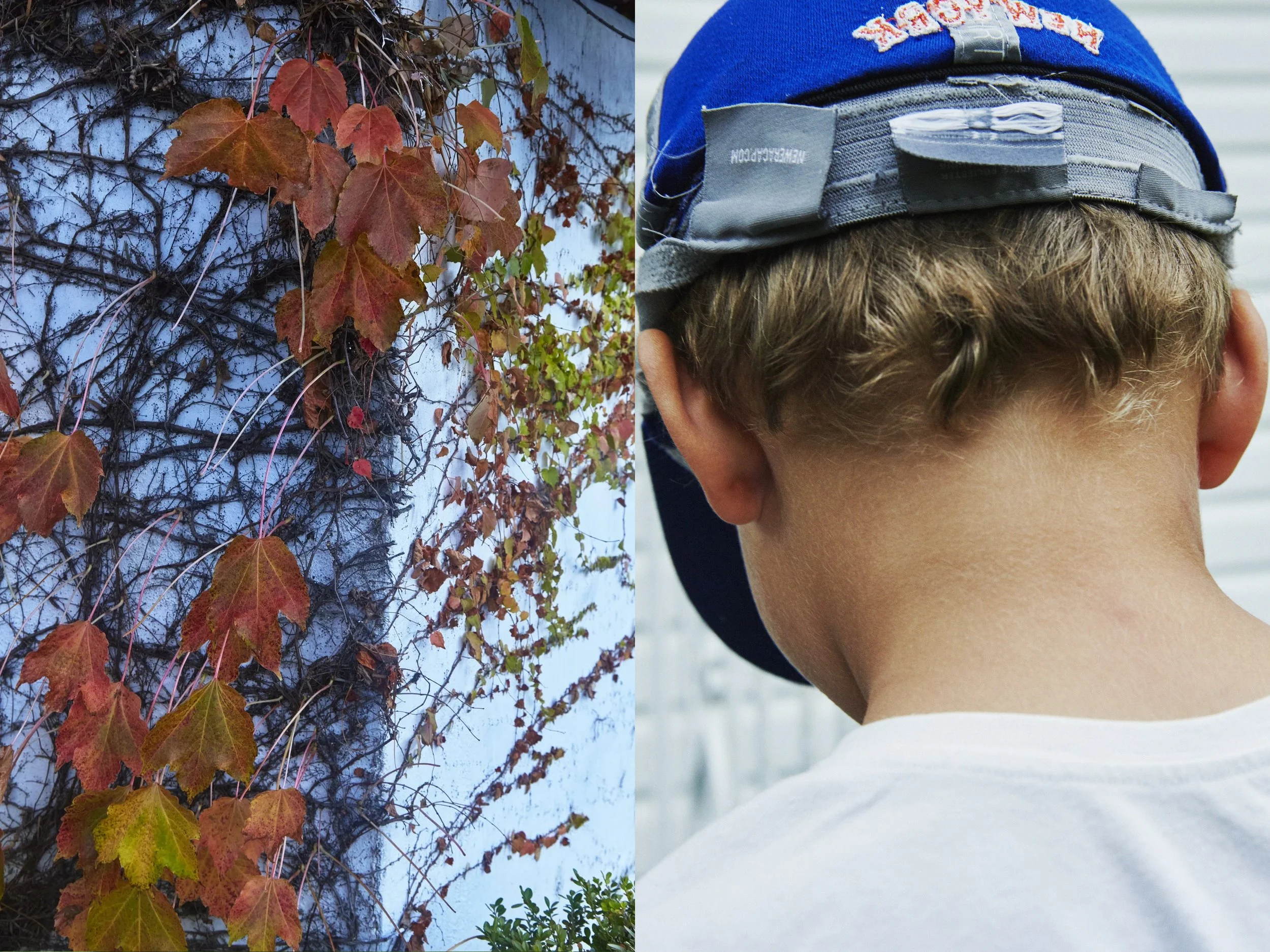 _MG_8858+v7+s light+diptychs+CascadingLeaves.jpg