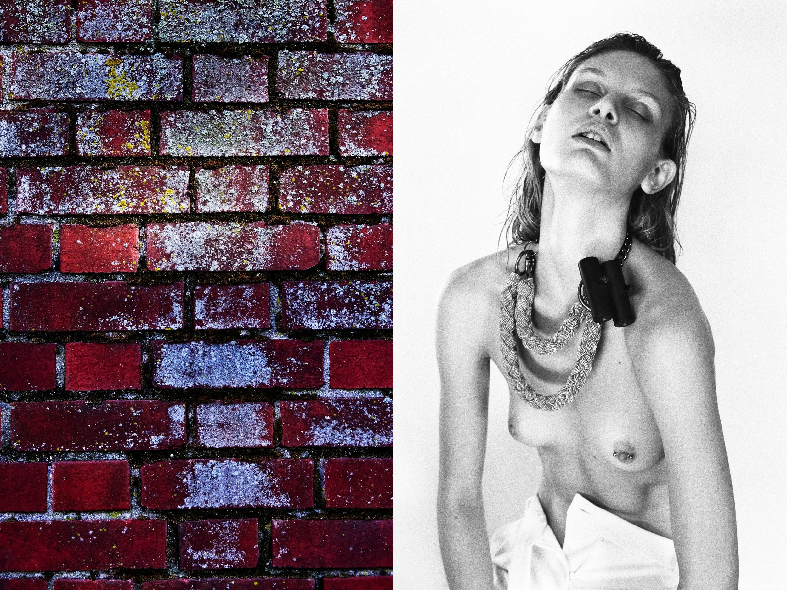 ViktoriaSekrier_necklace s darker + BurgBricks copy.jpg