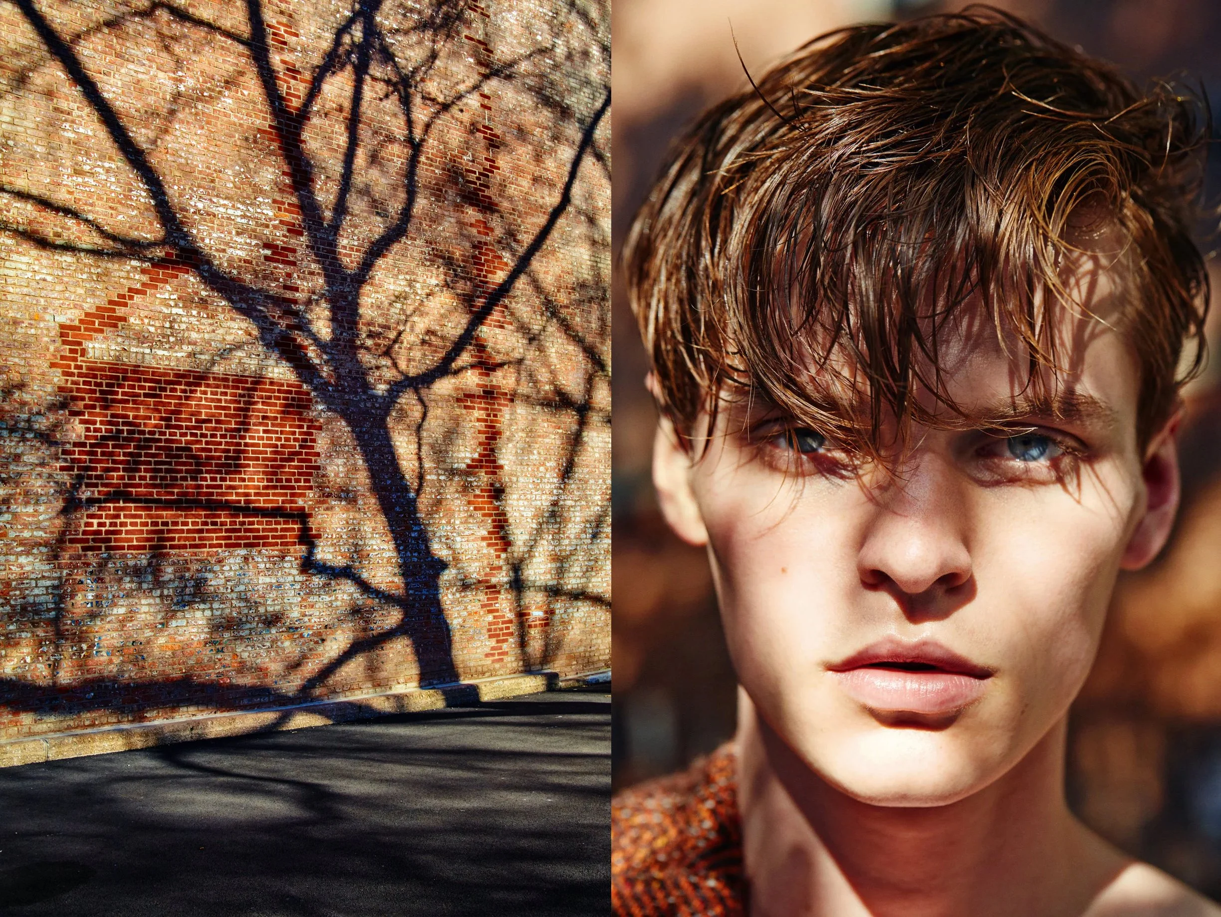 JohnHein_+JohnHein_+StillLife_021+v3+darker+warmer+F+s copy_diptych+OrangeTreeShadows copy.jpg