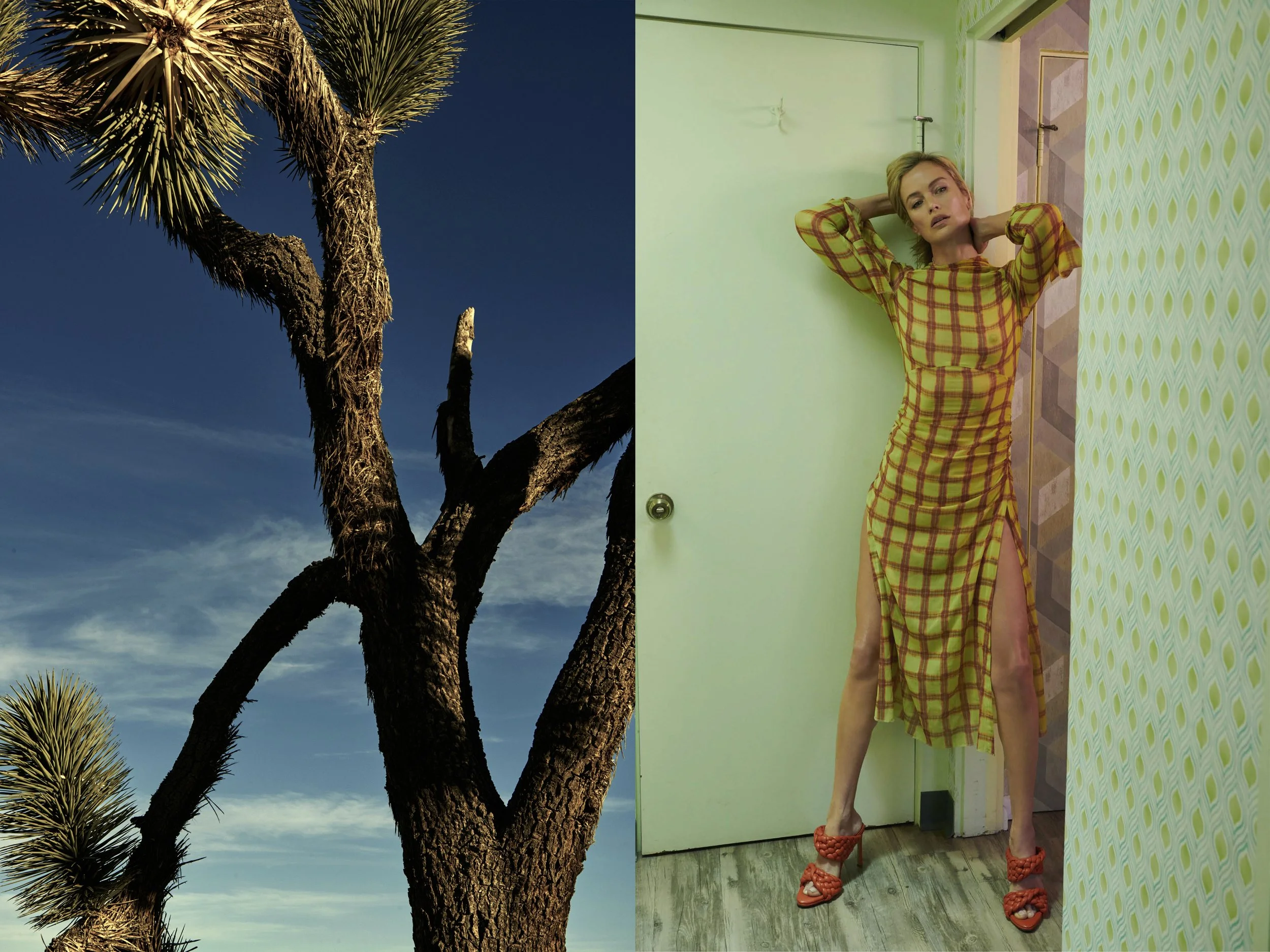 Carolyn Bathroom + Joshua Tree copy.jpg