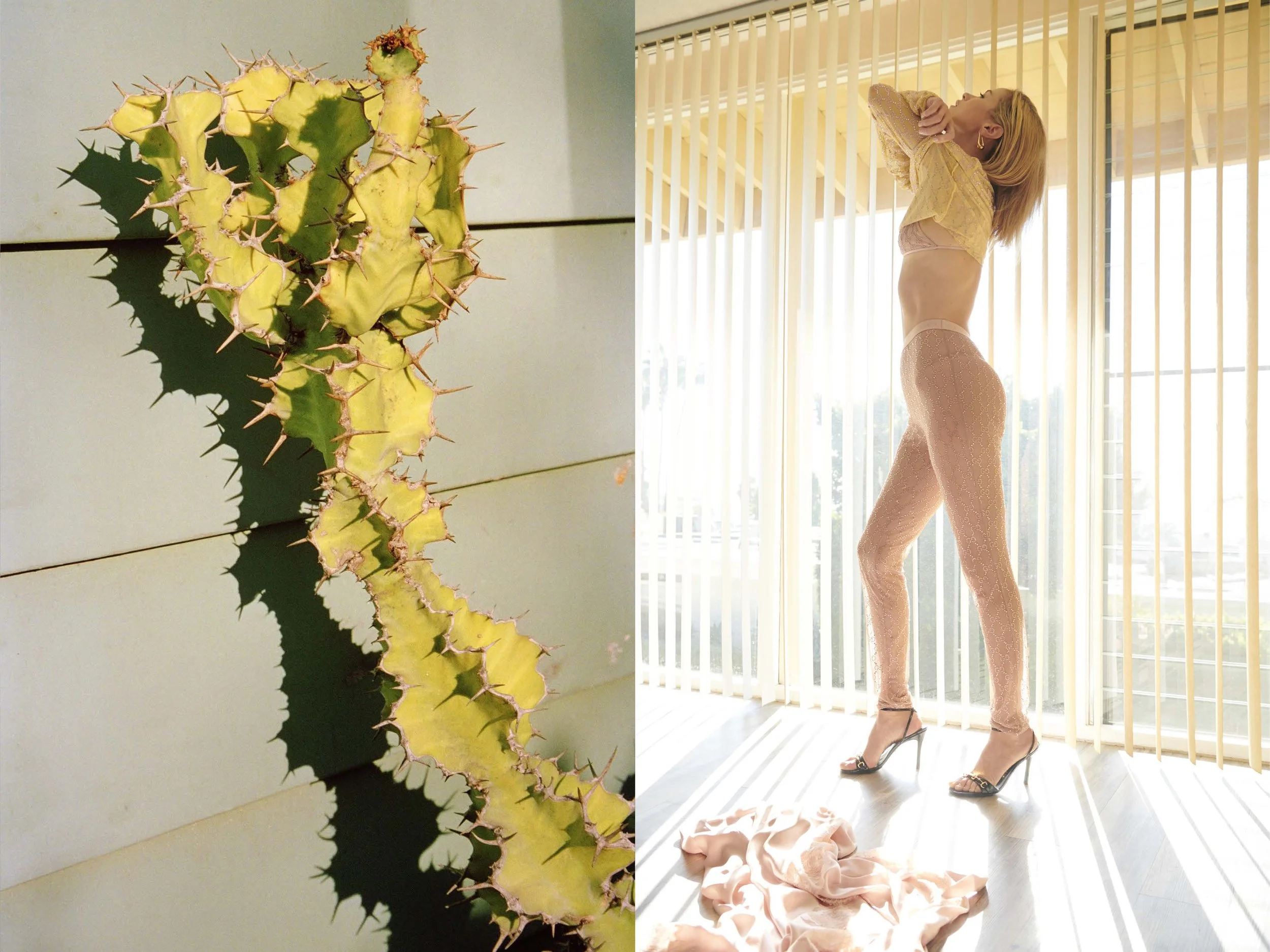 Carolyn Cactus panel.jpg