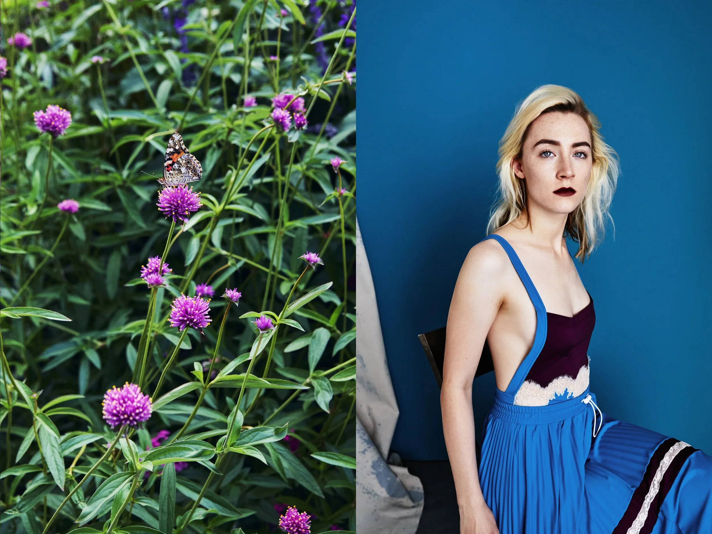 MatthewKristall_SaoirseRonan_Valentino_Adobe4NEWsettings20EMAIL_s + Butterfly copy.jpg