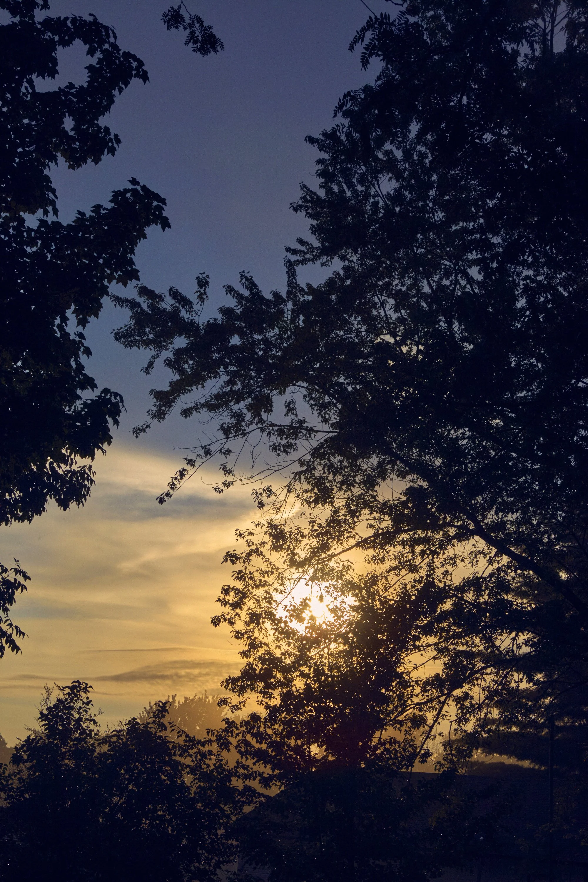 Lansmans Foggy Sunset 1 saturation s.jpg