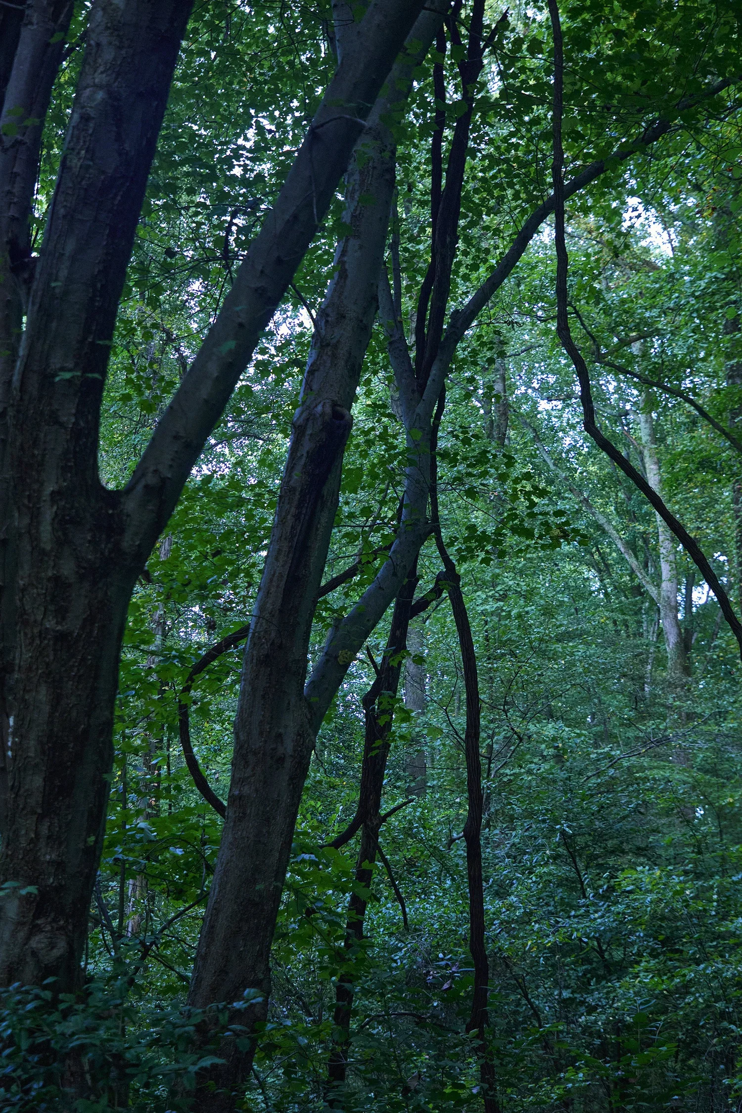 5G0A0527+L+s (1).webp