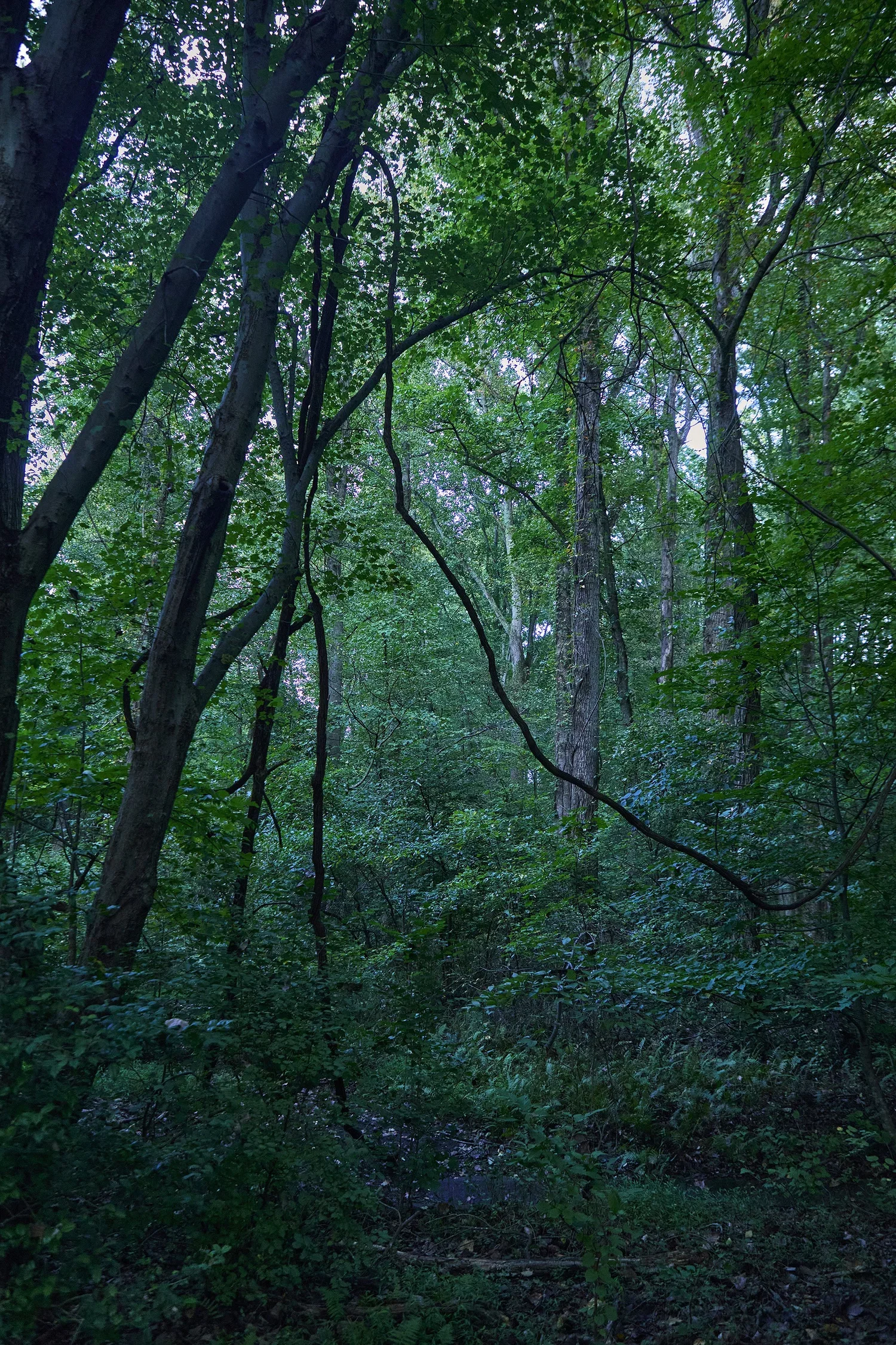 5G0A0525+L+s (1).webp