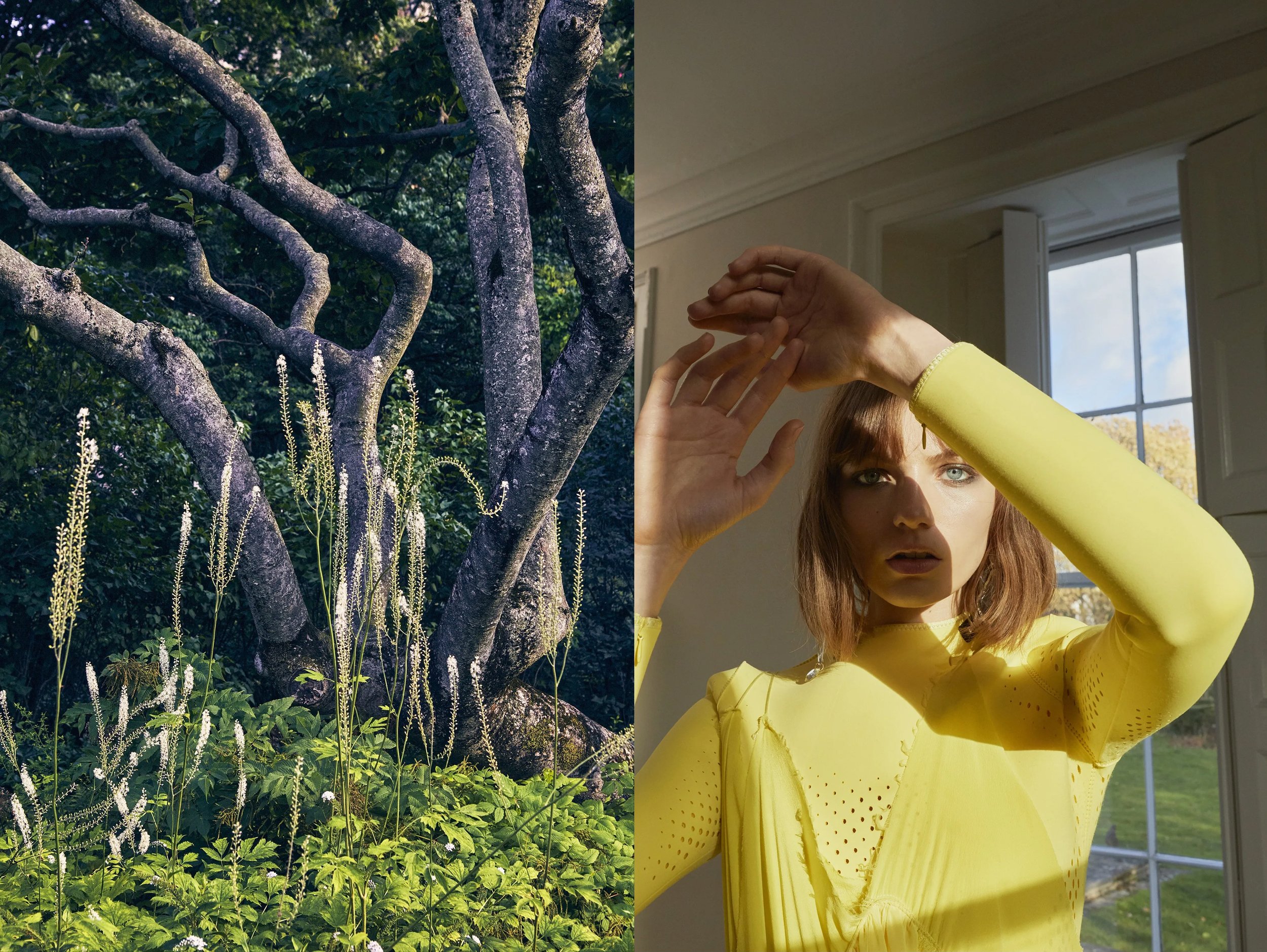 FranBalenciagaArmLift + SlitheringReachingSnakePlant brighter copy.jpg