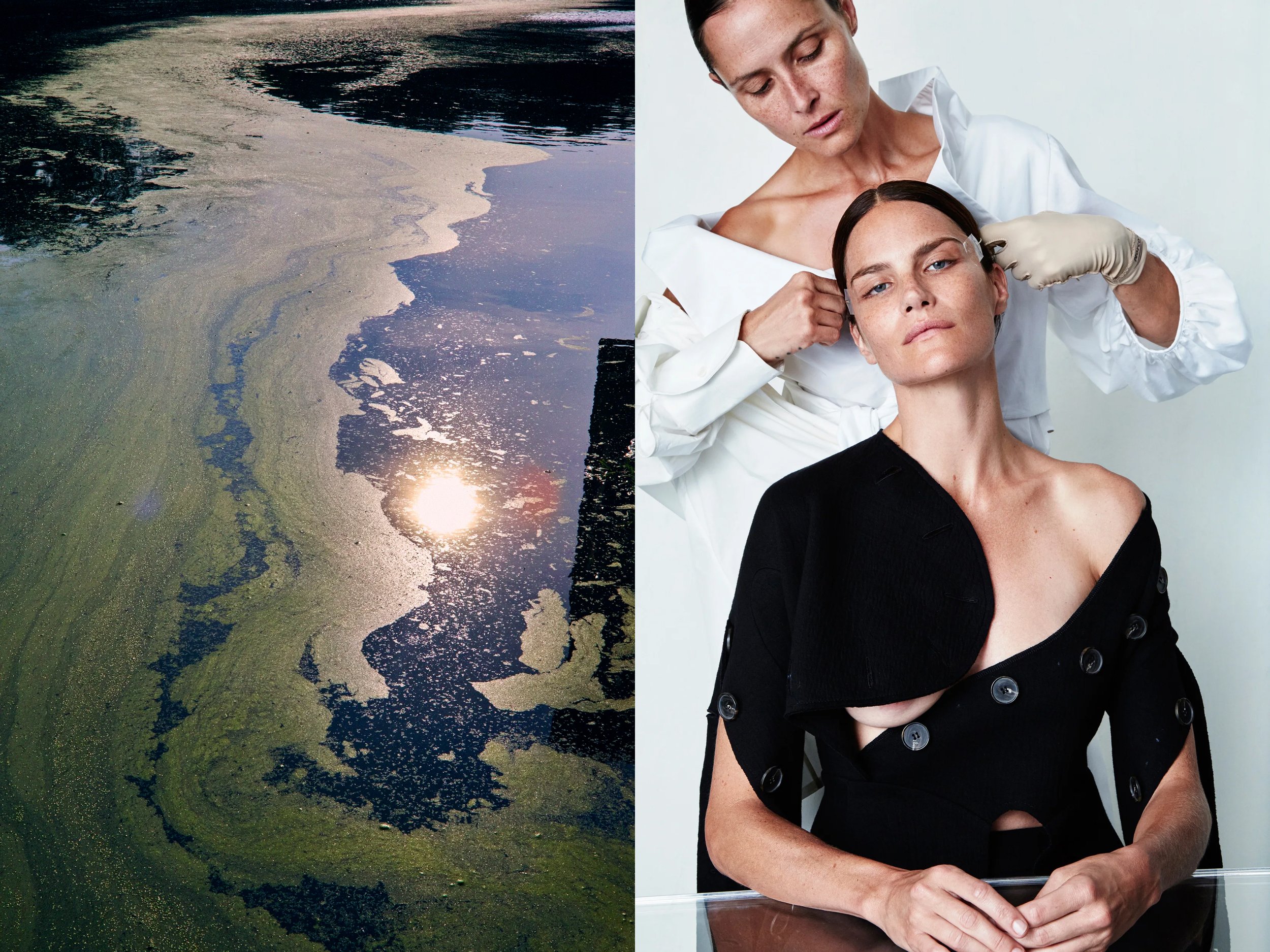 AllureScience_diptych_4.2+solo + GreenSwirl copy.jpg