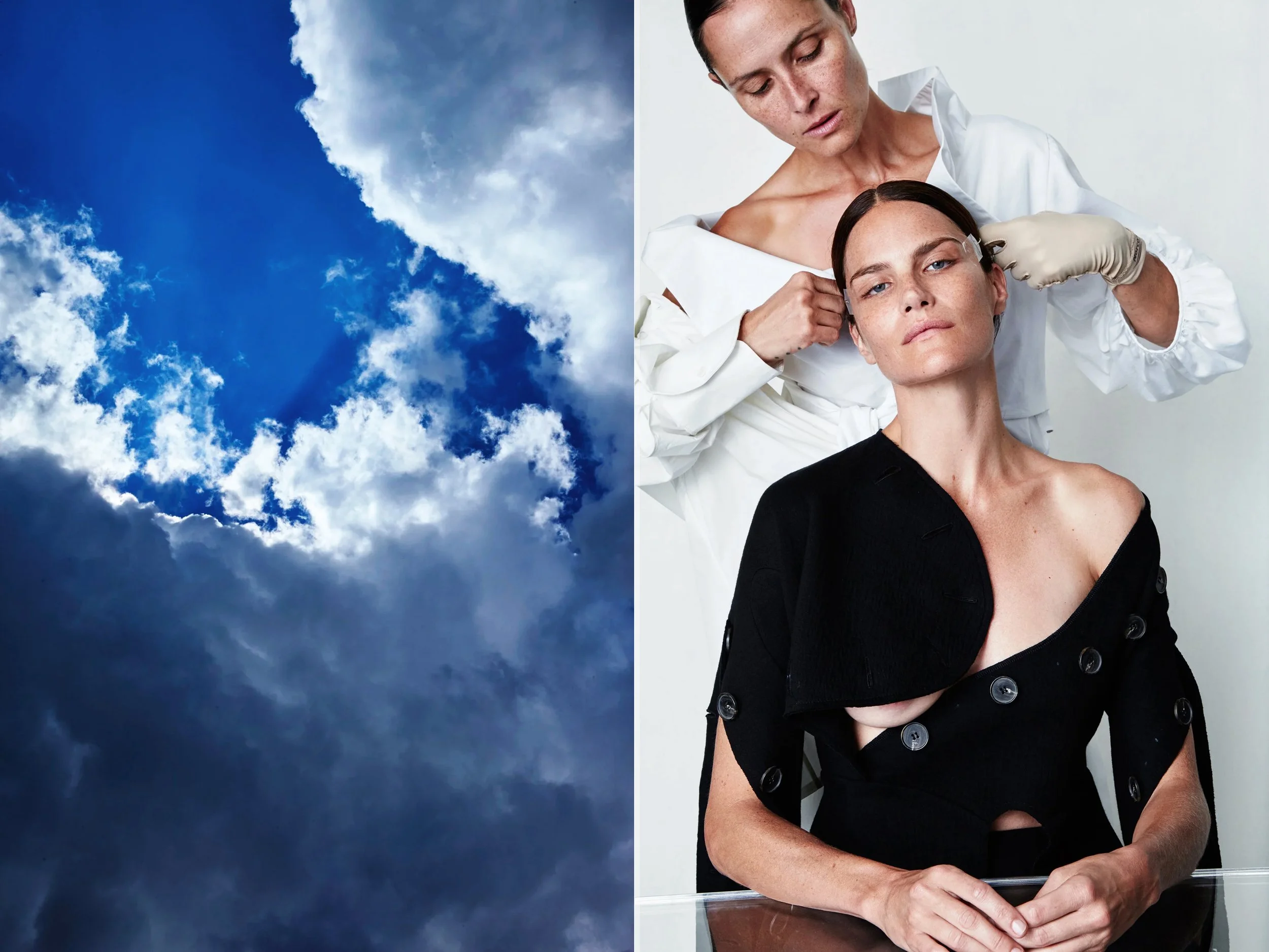 AllureScience_diptych_4.2+solo + LansmansClouds copy.jpg