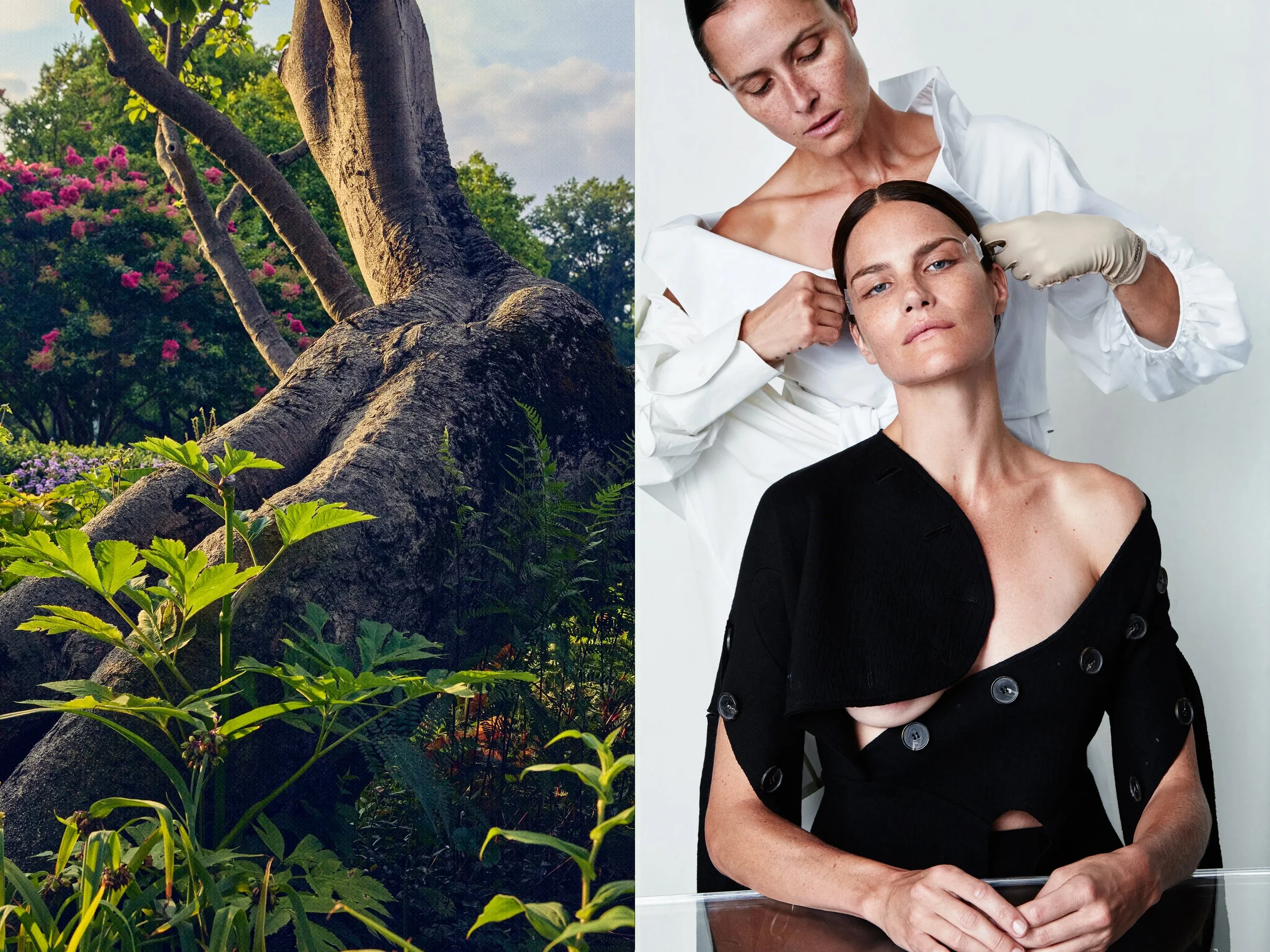 AllureScience_diptych_4.2+solo + CPStretchingTreeProfile2 lighter copy.jpg